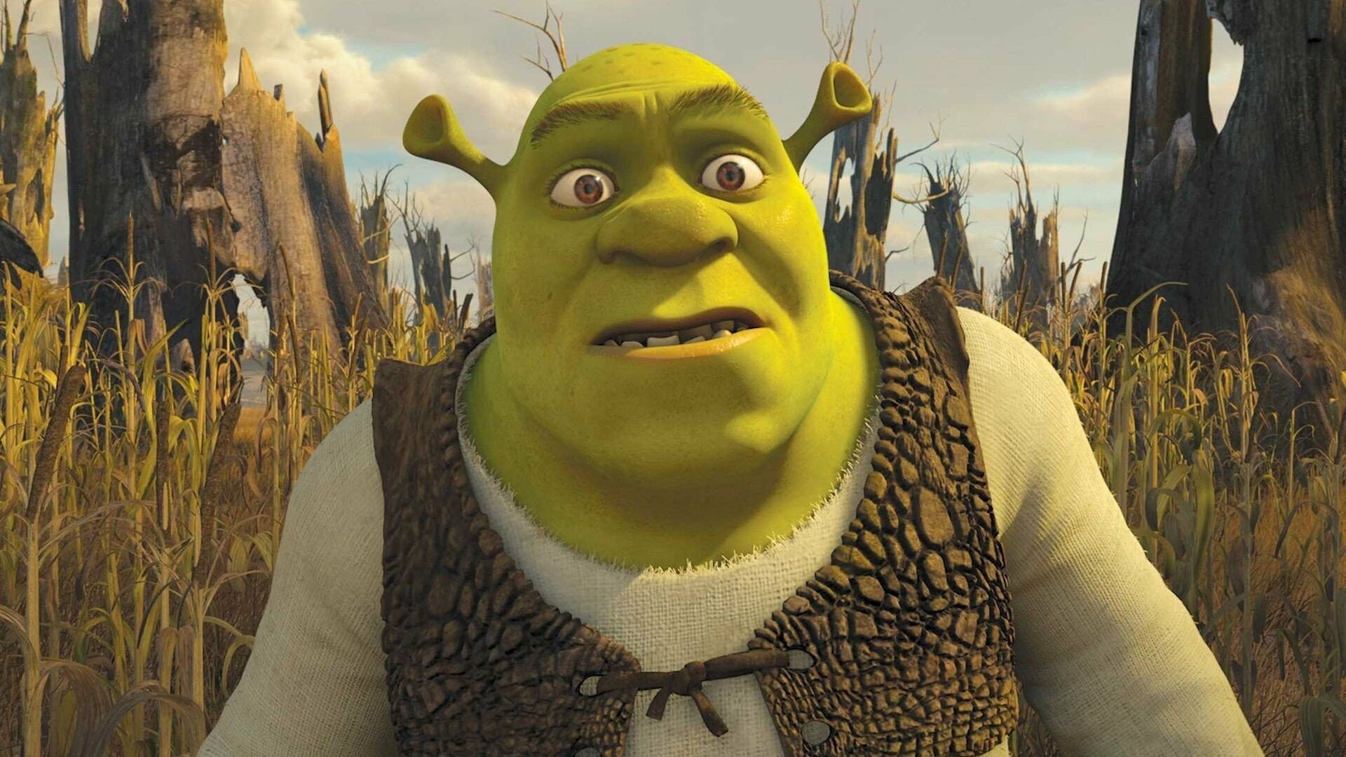 Shrek: DreamWorks Animation's second-highest-grossing film at the foreign box office. 1920x1080 Full HD Wallpaper.