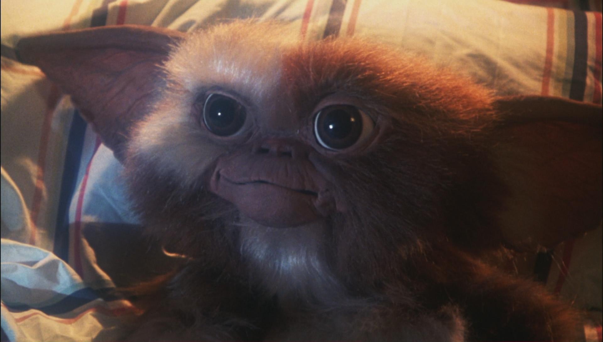 Gremlin Gizmo: Giz, An adorable, very kind Mogwai who is part of Billy Peltzer’s life. 1920x1090 HD Background.