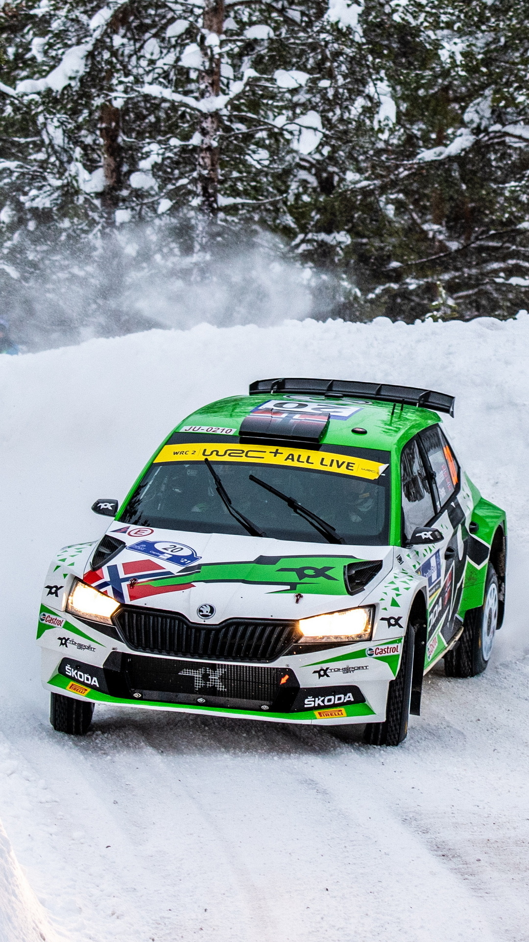 Skoda Fabia Arctic Rally, Phone wallpapers, Motorsport excitement, Thrilling action, 1080x1920 Full HD Phone