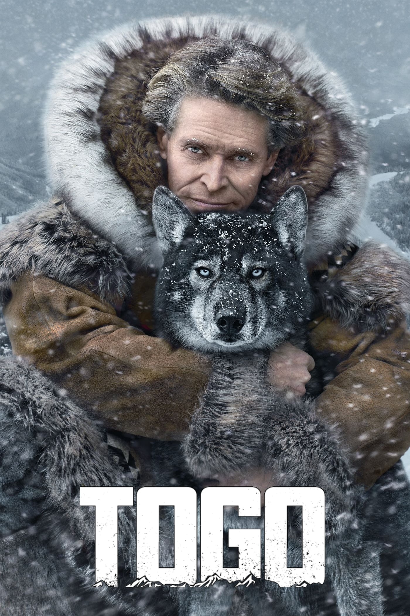 Togo, Heartwarming adventure, Loyal sled dog, Arctic journey, 1400x2100 HD Handy