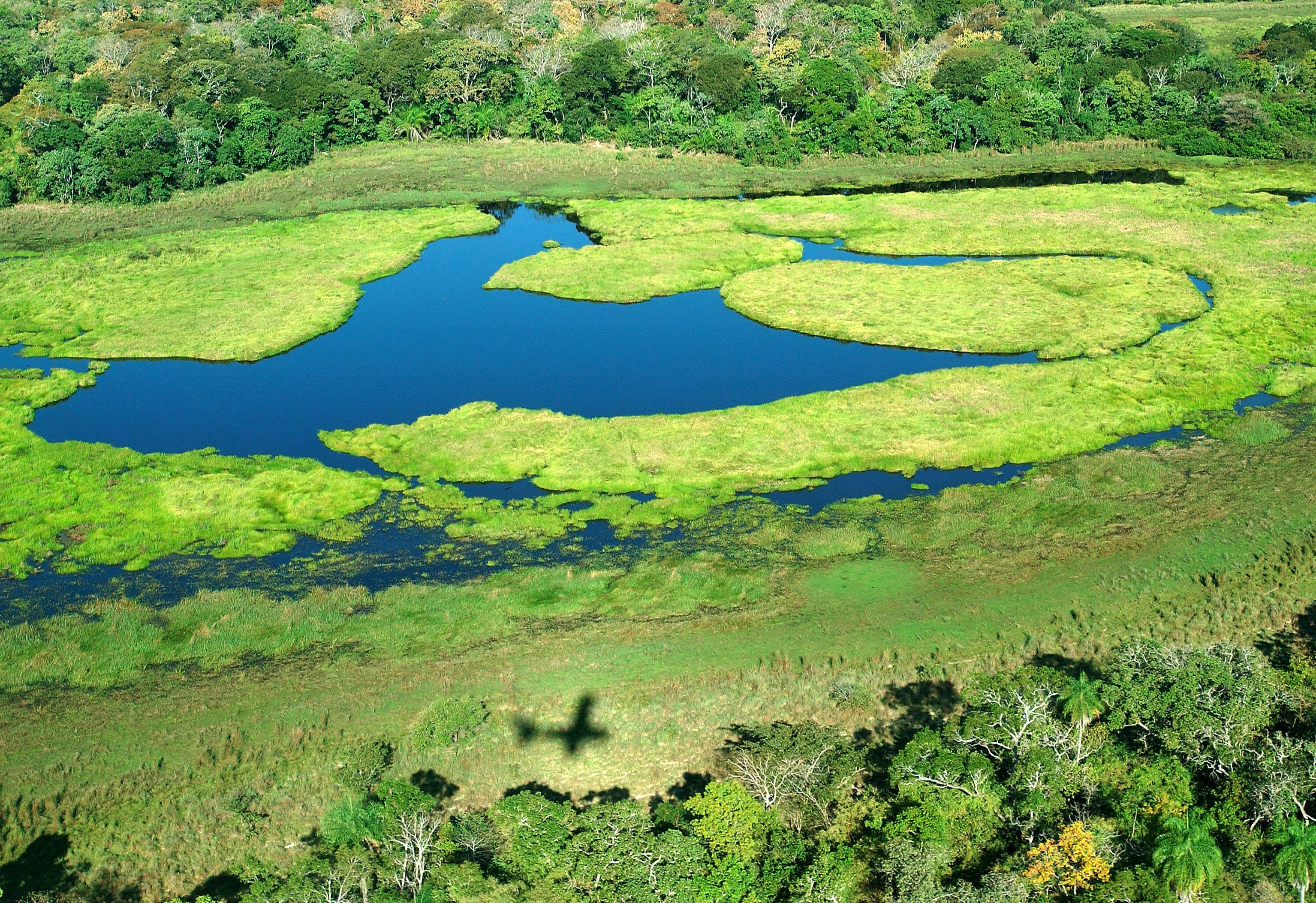Pantanal Matogrossense, Travels, download pantanal images, free, 3070x2110 HD Desktop
