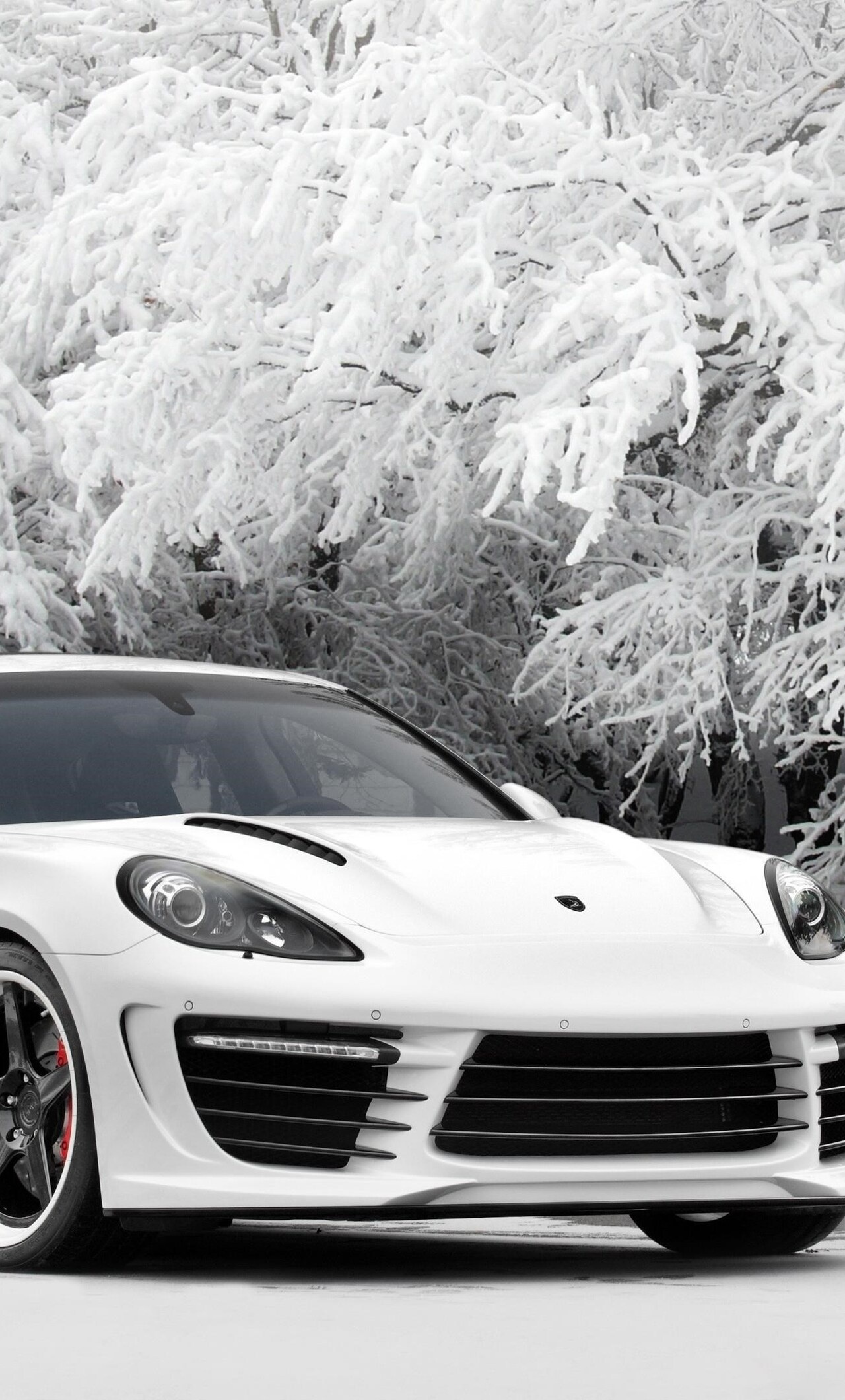 Porsche Panamera, Luxury on wheels, Sleek and powerful, Sports car elegance, 1280x2120 HD Handy