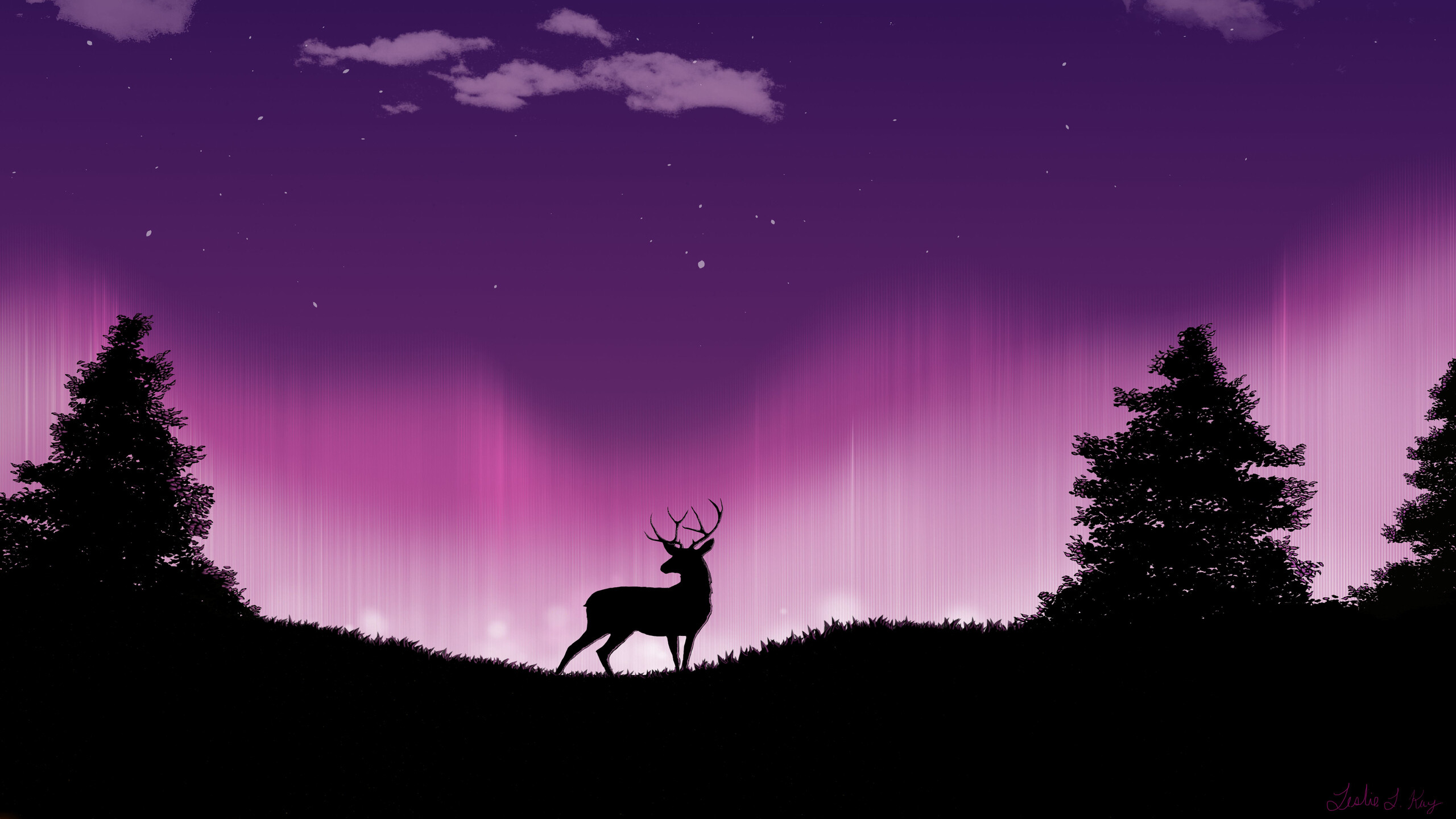 Reindeer: Forest of serenity, Woodland caribou have disappeared from most of their original southern range. 2560x1440 HD Wallpaper.