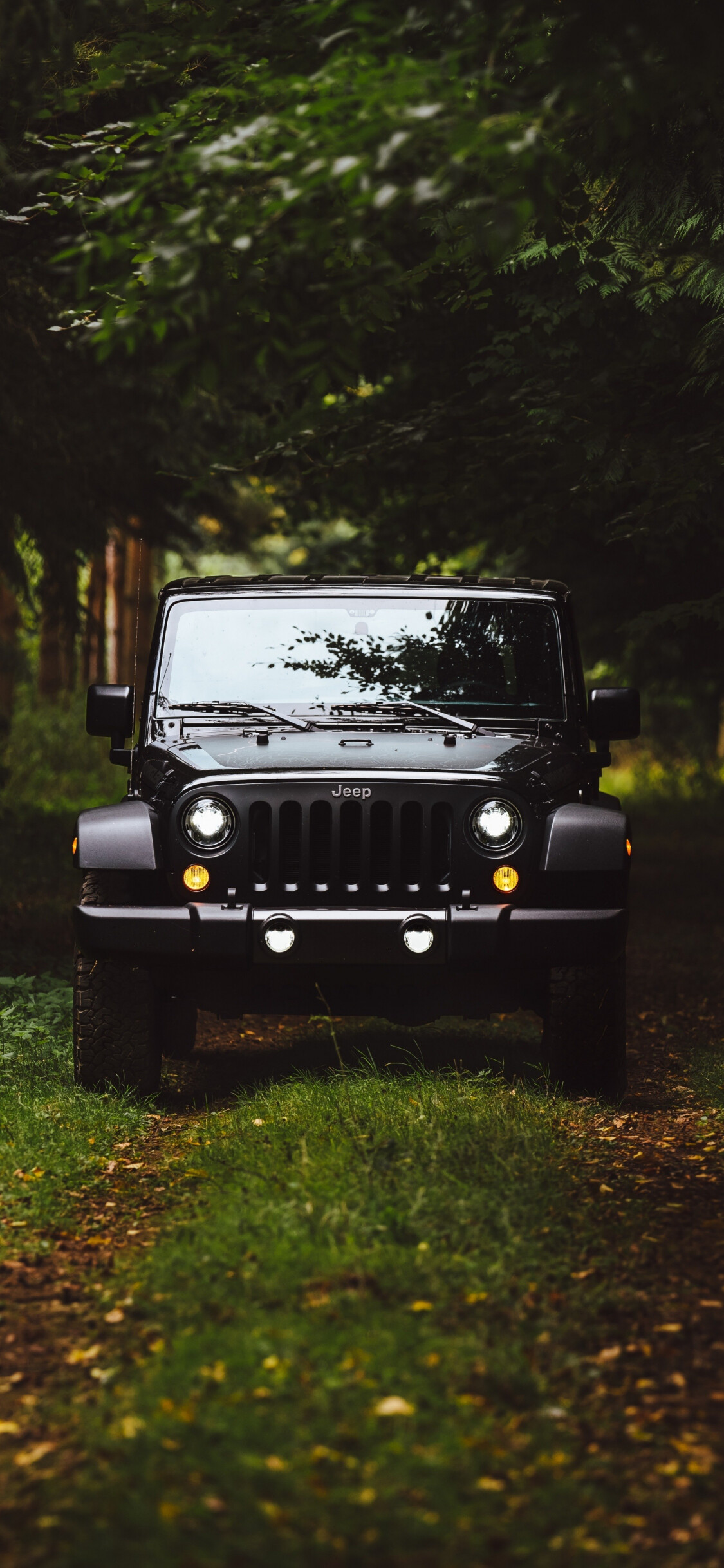 Jeep Wrangler: The extended wheelbase retained the 2-door design and was dubbed LJ. 1130x2440 HD Background.