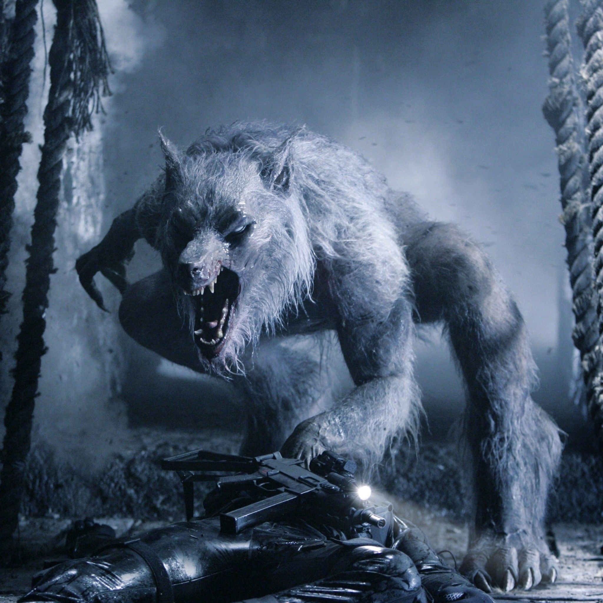 Werewolf wallpapers, Artistic expressions, Visually captivating, Immersive, 2050x2050 HD Phone
