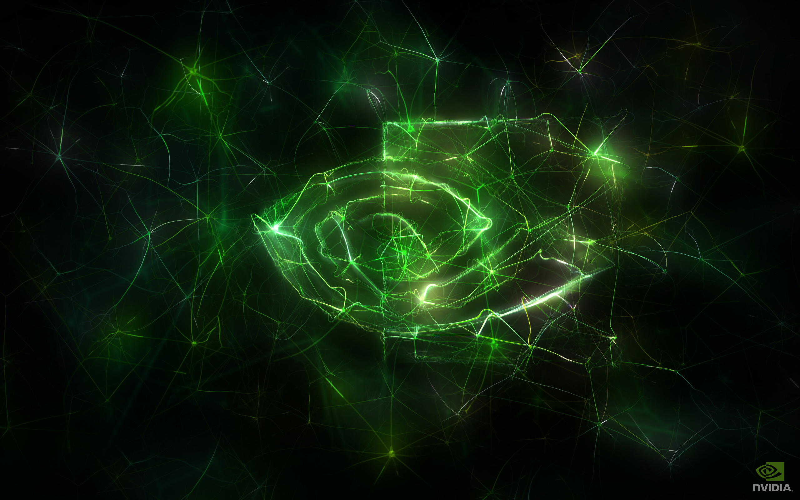 Nvidia: Founded in 1993, A leading designer of graphics processors. 2560x1600 HD Wallpaper.