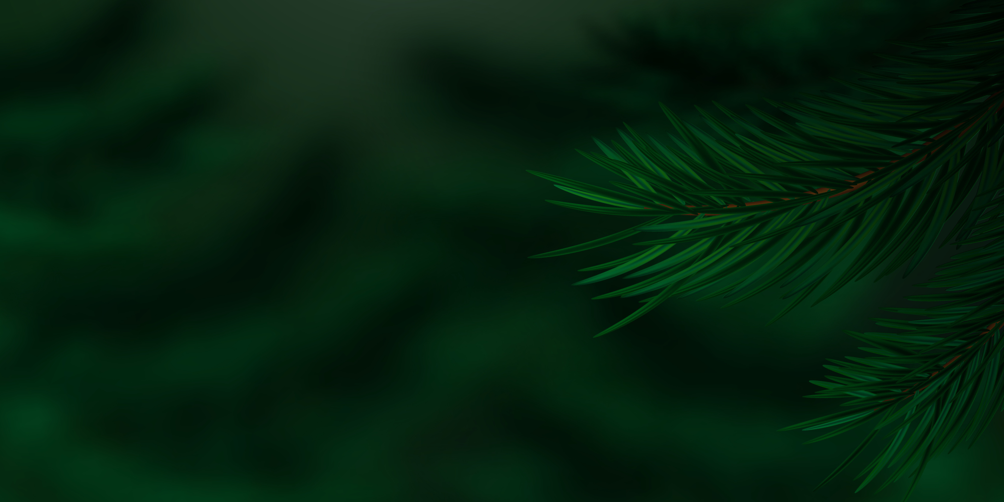 Coniferous twigs, Nature's backdrop, Pine or spruce, Vibrant vegetation, 3340x1670 Dual Screen Desktop