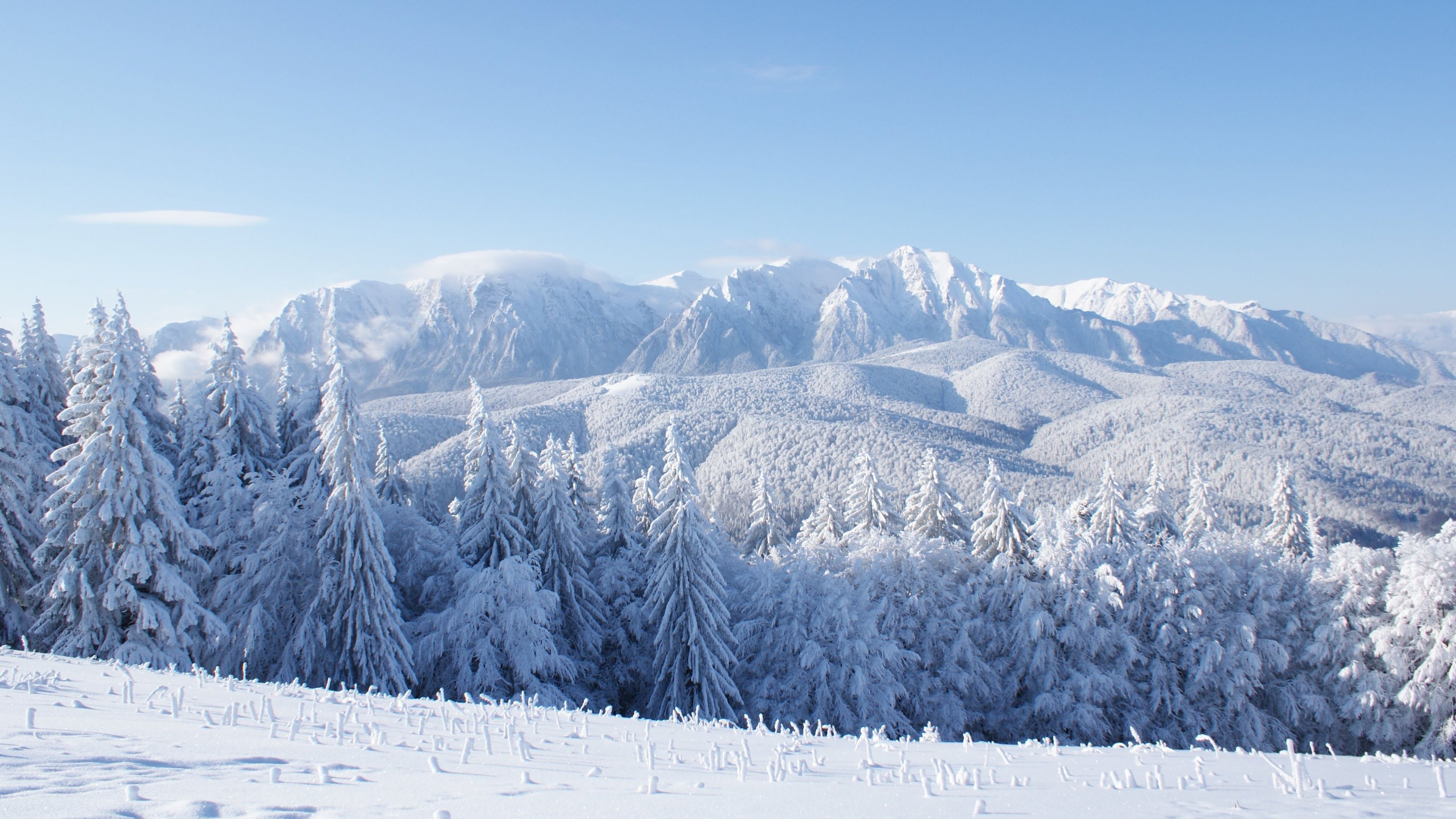 Snowy landscape, Winter wonderland, Fresh powder, Frosty beauty, 3840x2160 4K Desktop