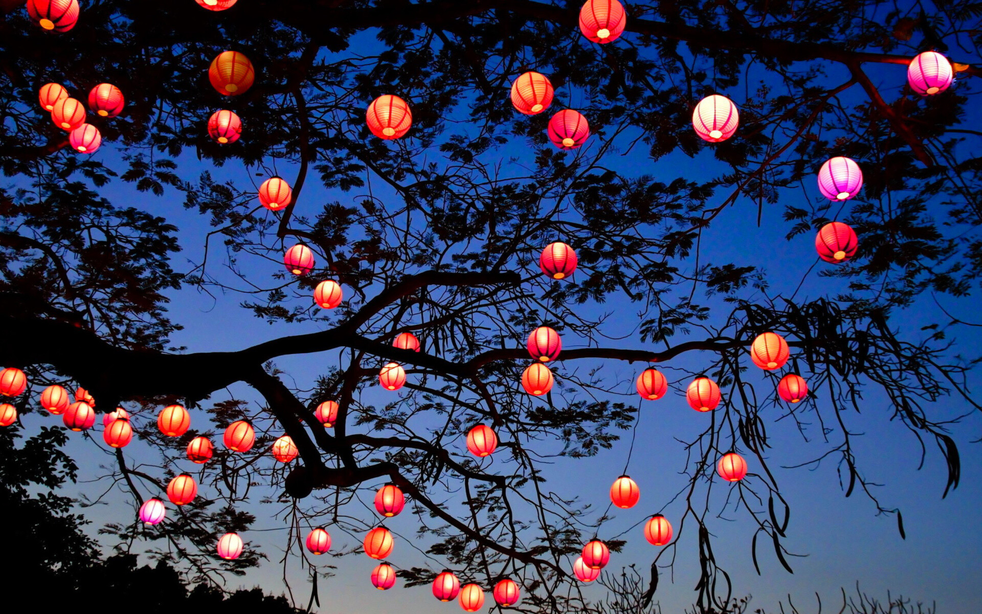 Lanterns: Chinese New Year, A portable light with a protective covering. 1920x1200 HD Wallpaper.