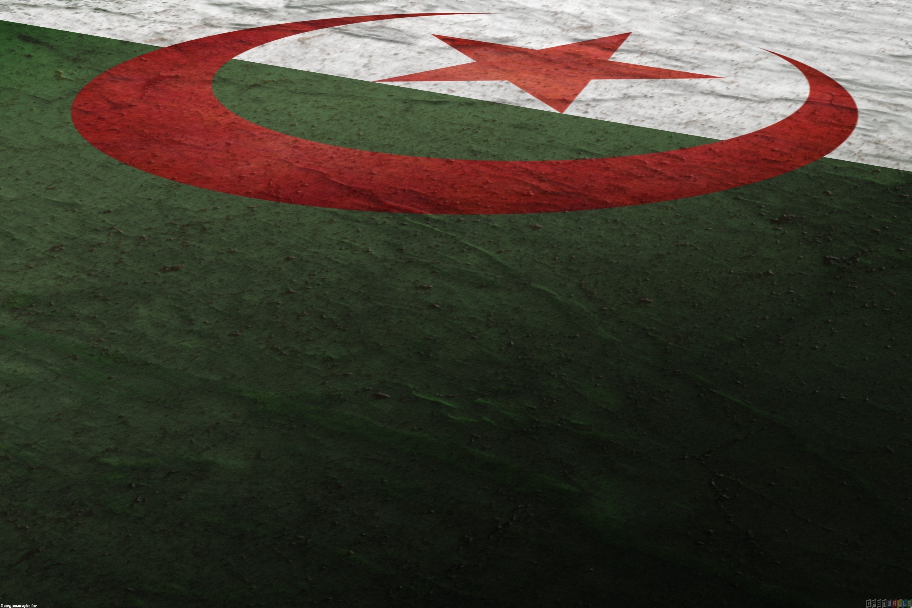 Algerian flag wallpapers, Patriotic pride, National symbol, Red and green, 3000x2010 HD Desktop