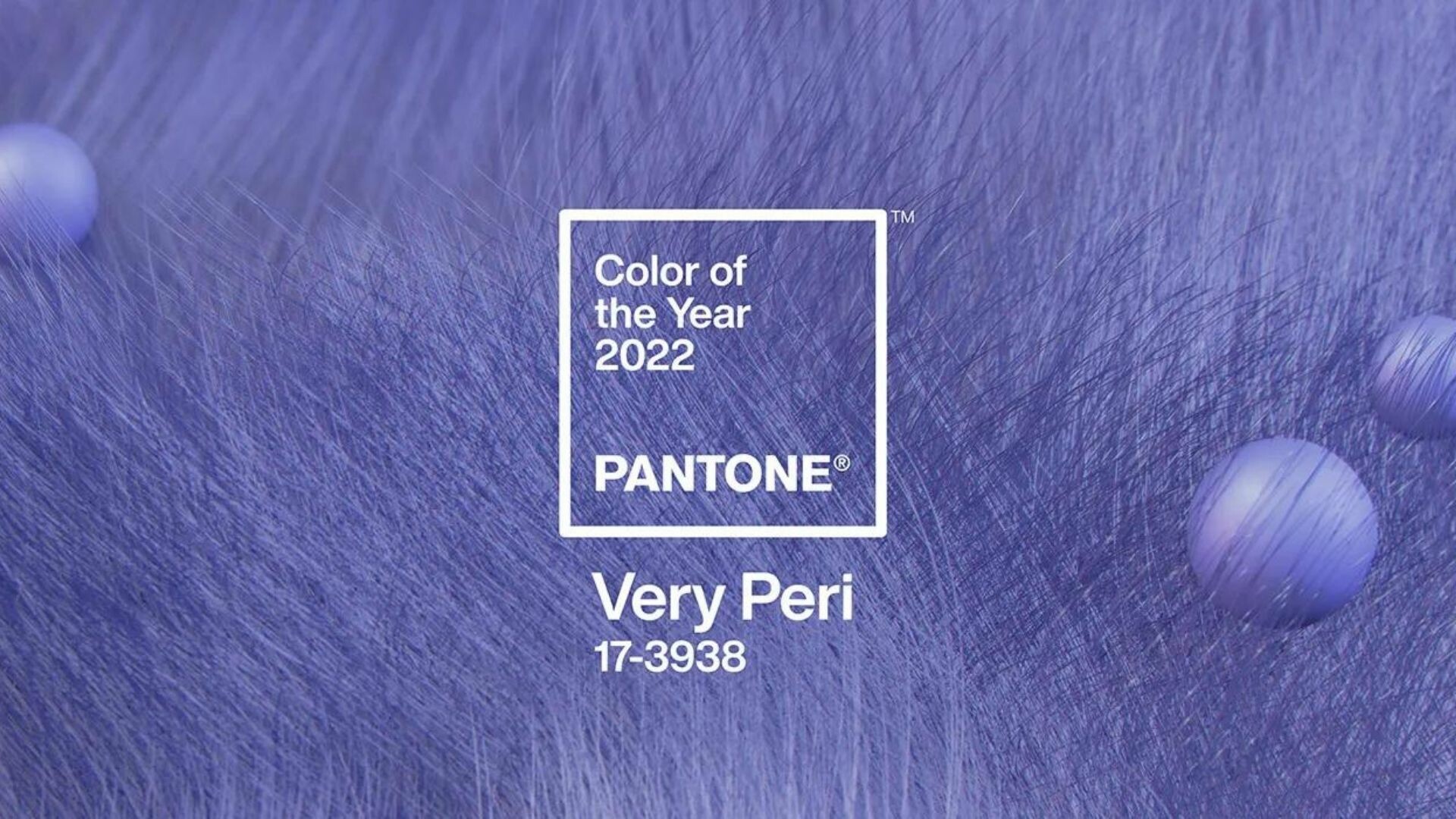 Farbe des, Jahres 2022, Sehr Peri, Pantone, 1920x1080 Full HD Desktop