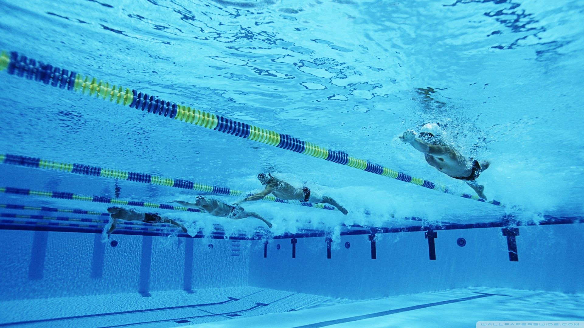 Swimming: Front crawl, The fastest style for moving over the water on the surface. 1920x1080 Full HD Wallpaper.