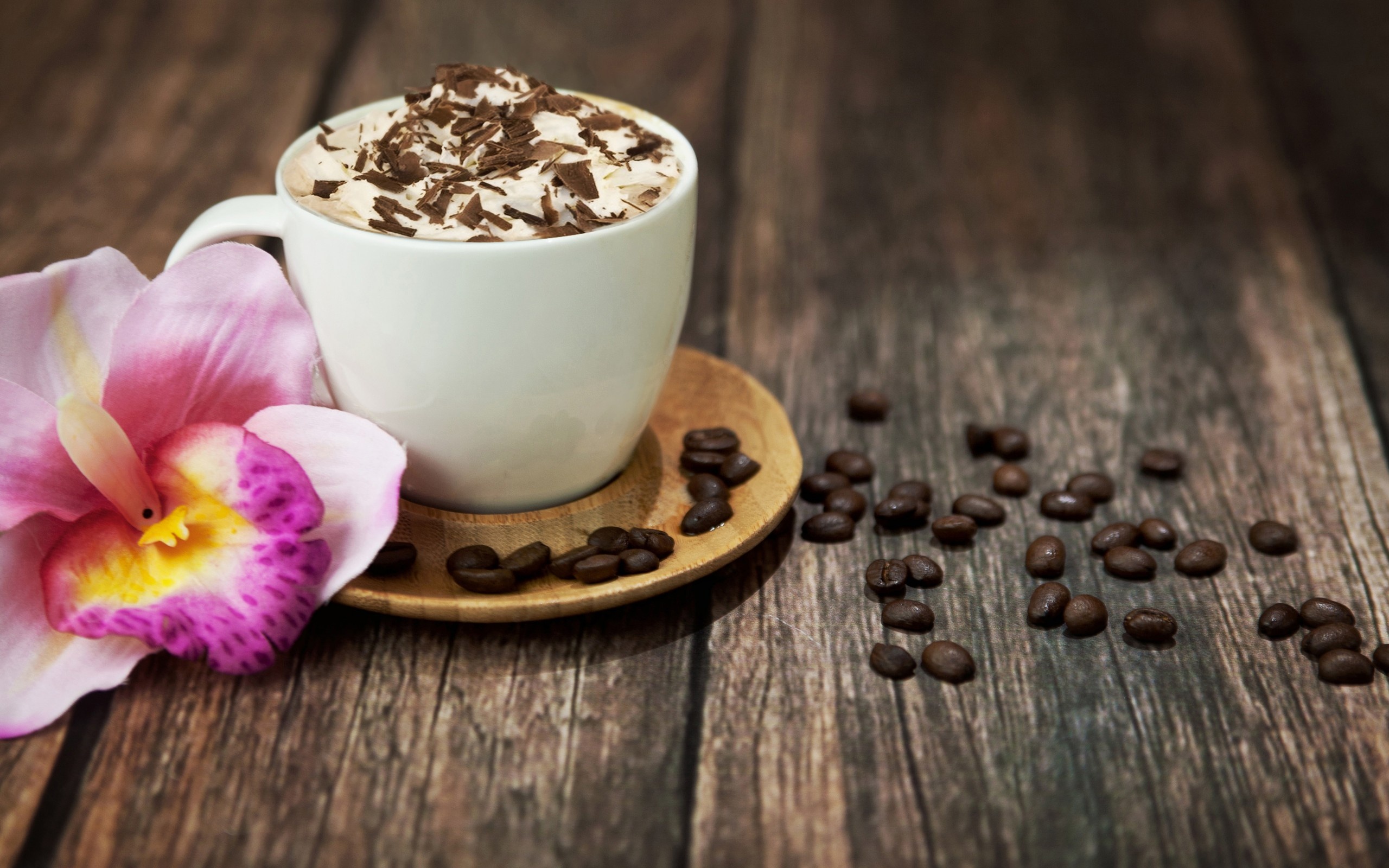 Coffee: Mocaccino, A chocolate-flavored warm beverage. 2560x1600 HD Wallpaper.
