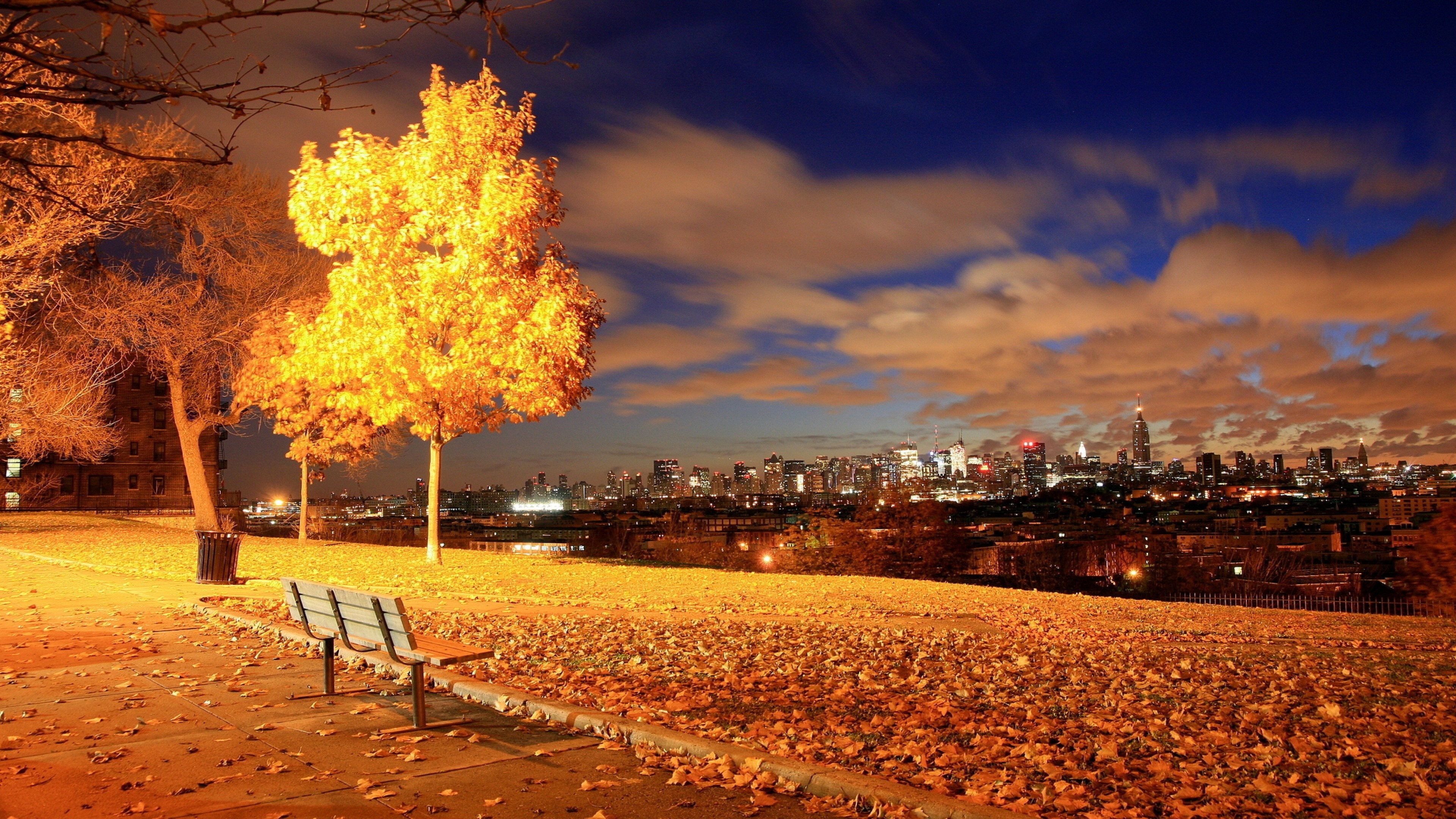 Picture-perfect autumn, Red-orange leaves, November mood, Forest canvas, Nature's palette, 3840x2160 4K Desktop