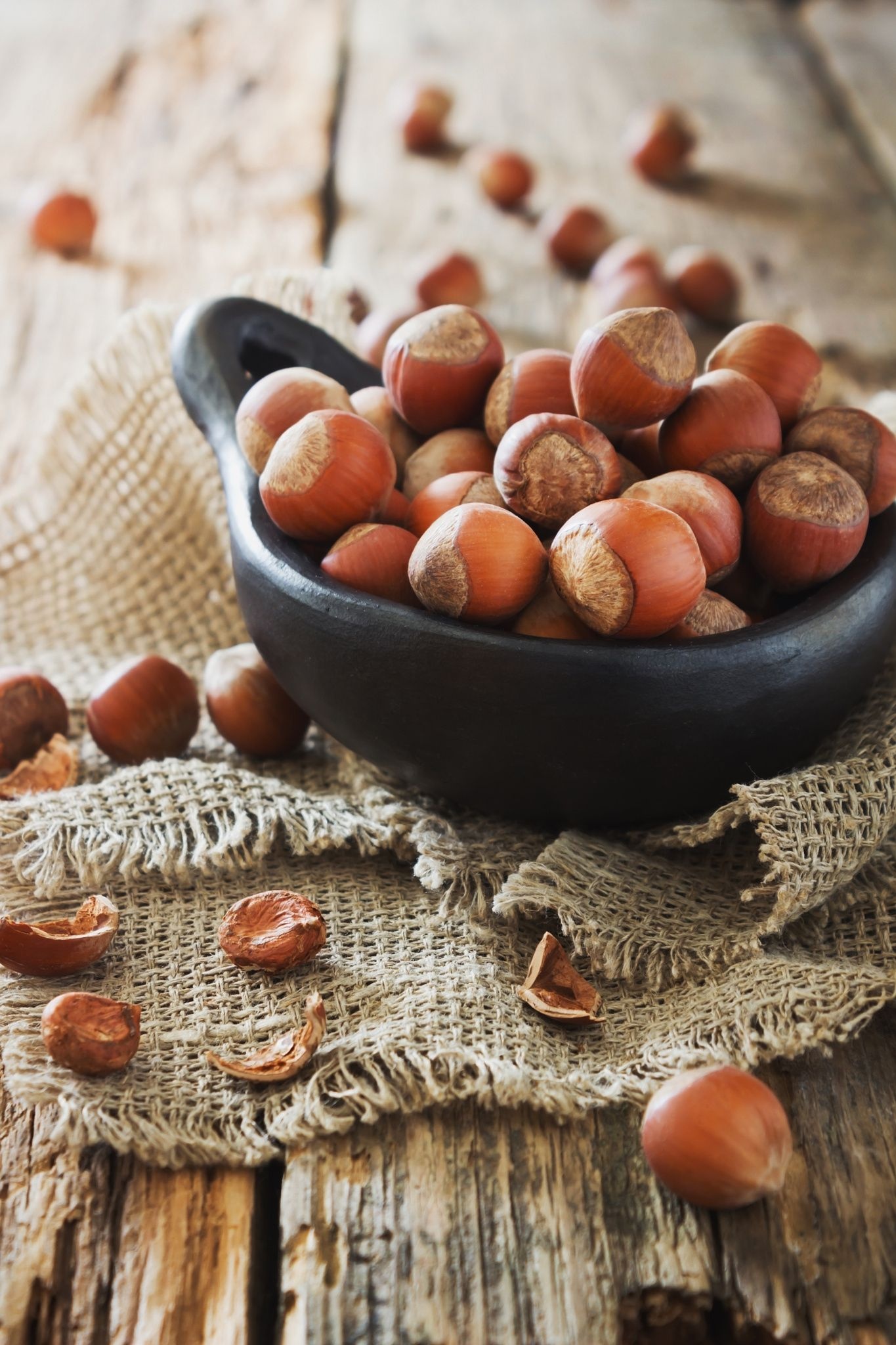 Hazelnuts: Genus of about 15 species of shrubs and trees in the birch family. 1370x2050 HD Background.