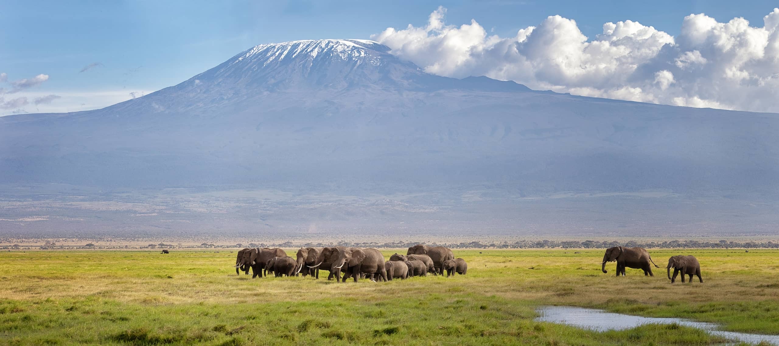 Kilimanjaro, Travels, Safari tour, Kilimanjaro National Park, 2560x1140 Dual Screen Desktop