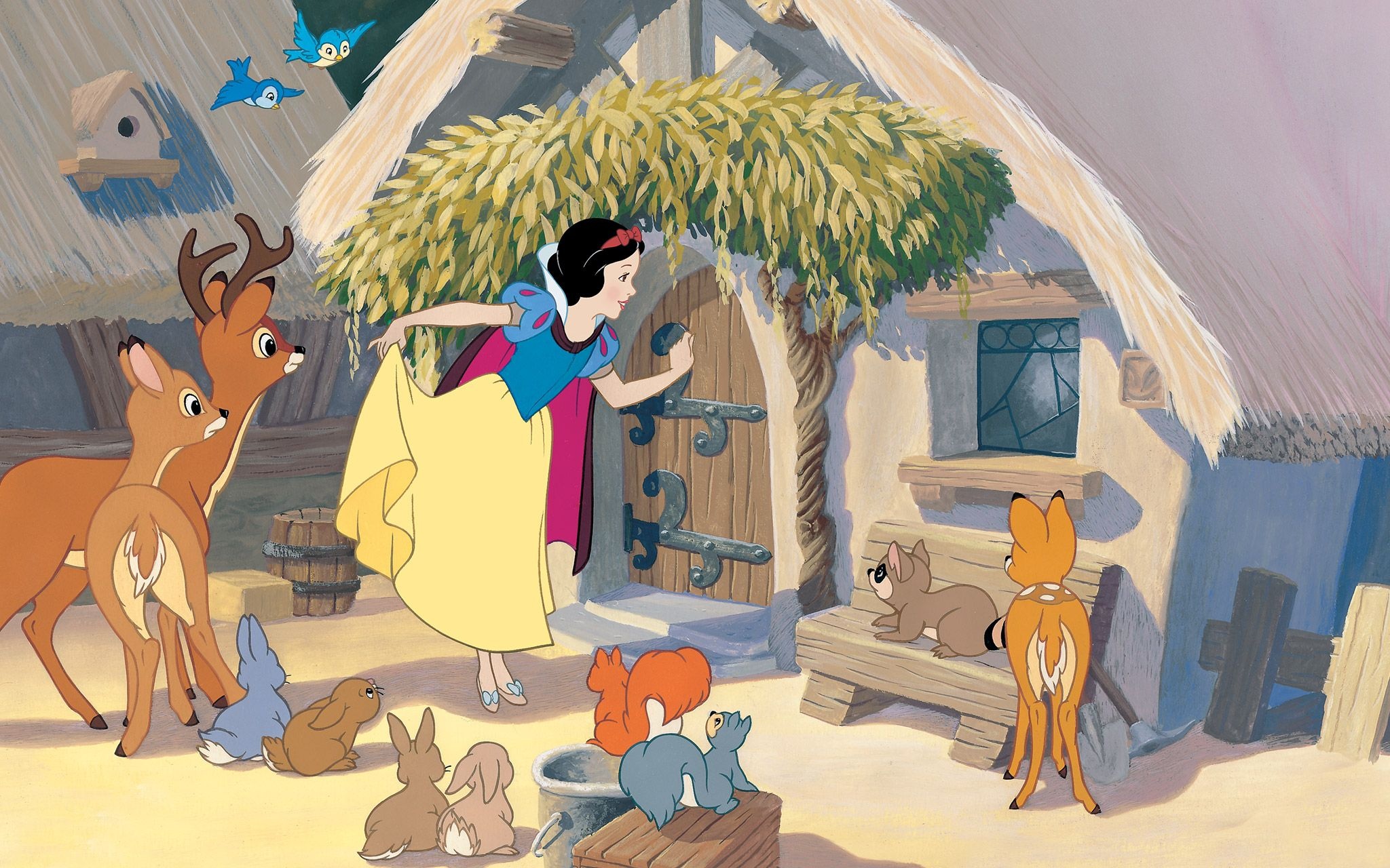 Snow White, Animation, Snow White's story, Disney princess, 2050x1280 HD Desktop