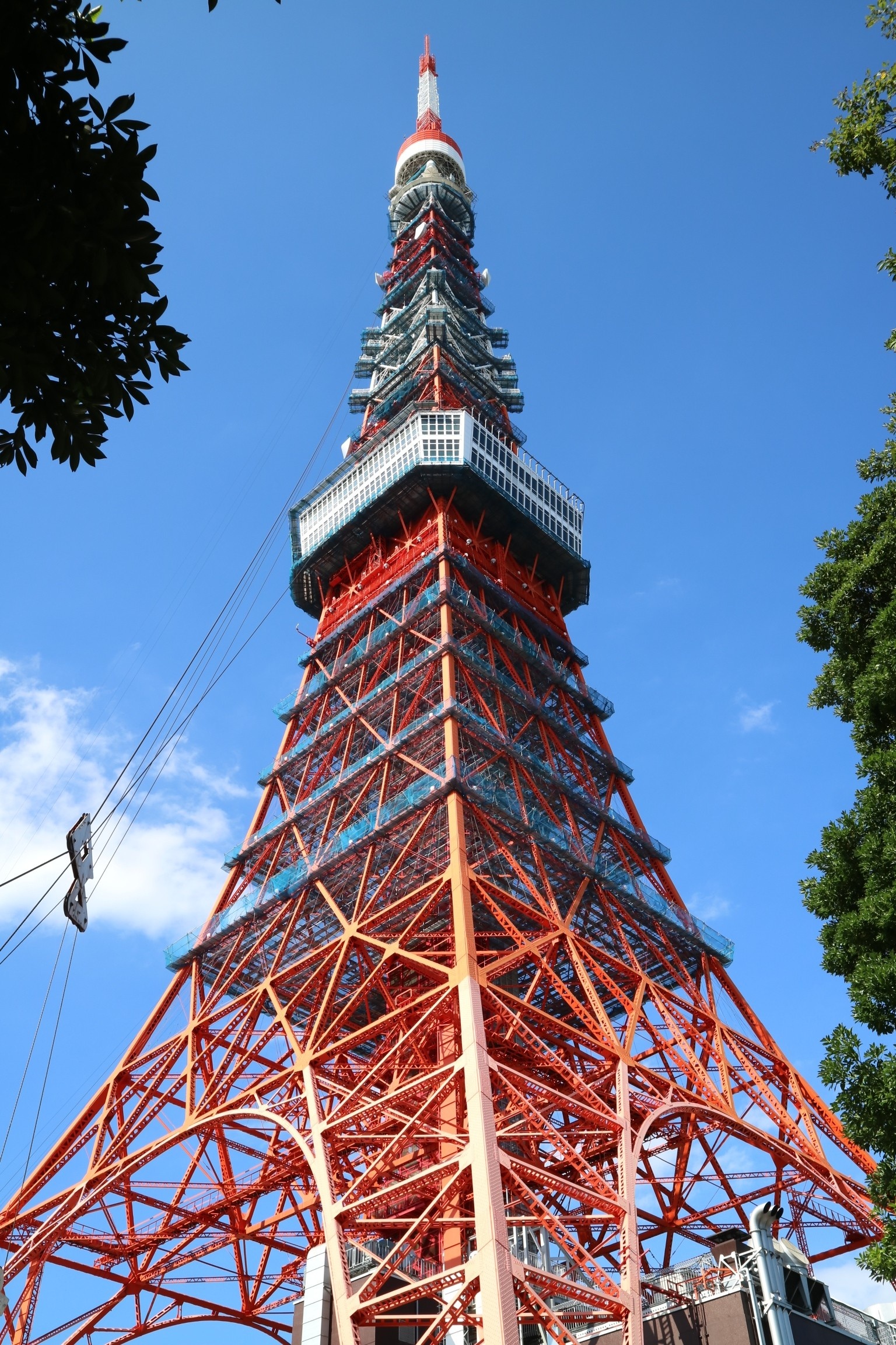 Tokyo Tower, City attraction, Architectural wonder, Tokyo landmark, 1540x2310 HD Phone