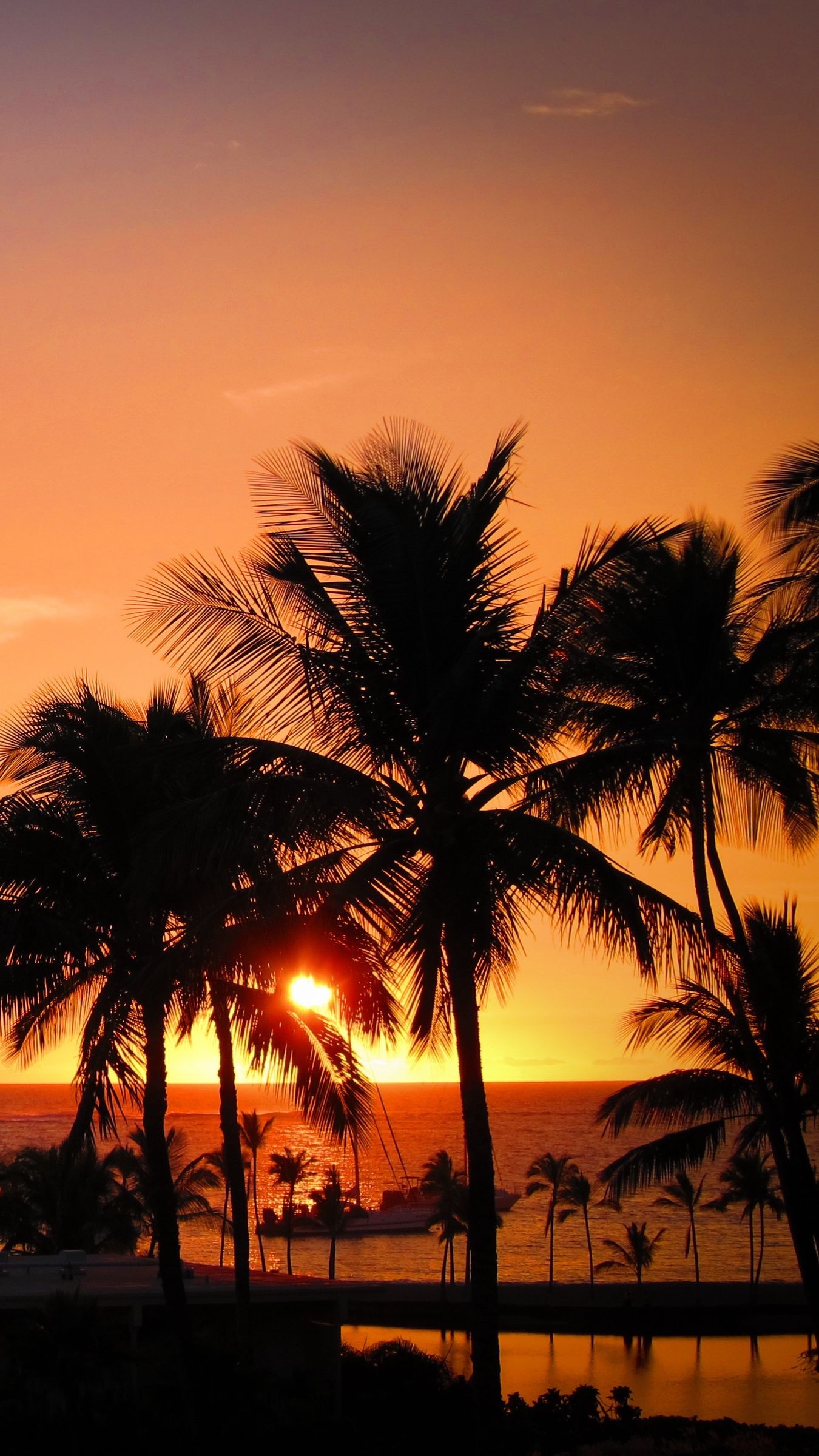 Hawaiian sunset, Warm colors, Tropical paradise, Nature's farewell, 1350x2400 HD Phone