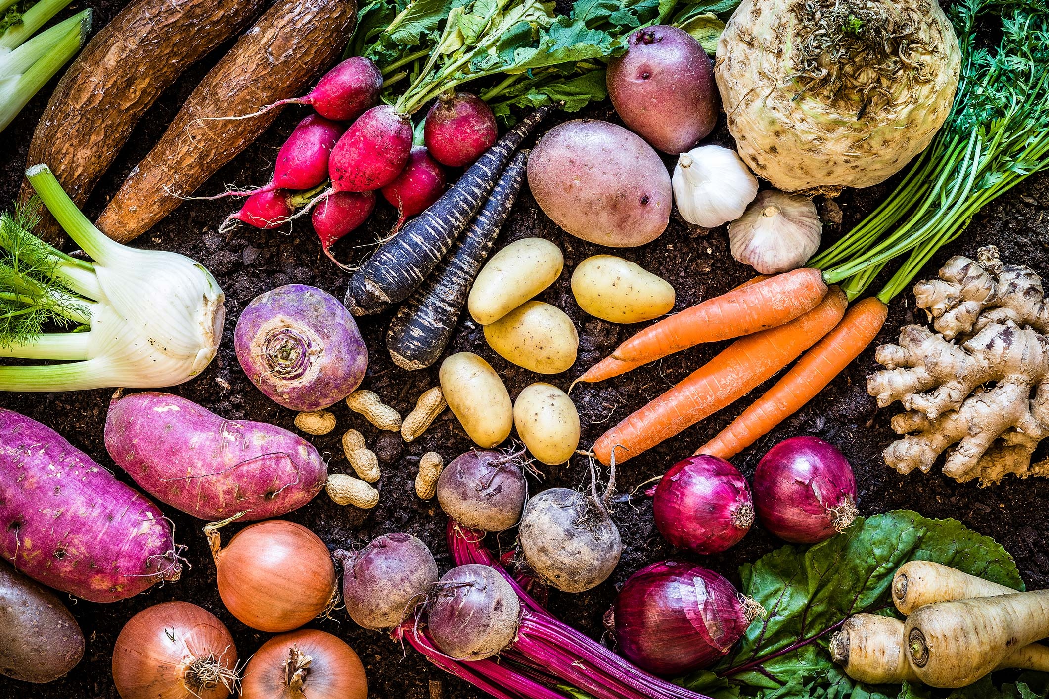 Vegetables: Underground plant parts eaten by humans as food, Beet, Potato, Onion. 2130x1420 HD Background.
