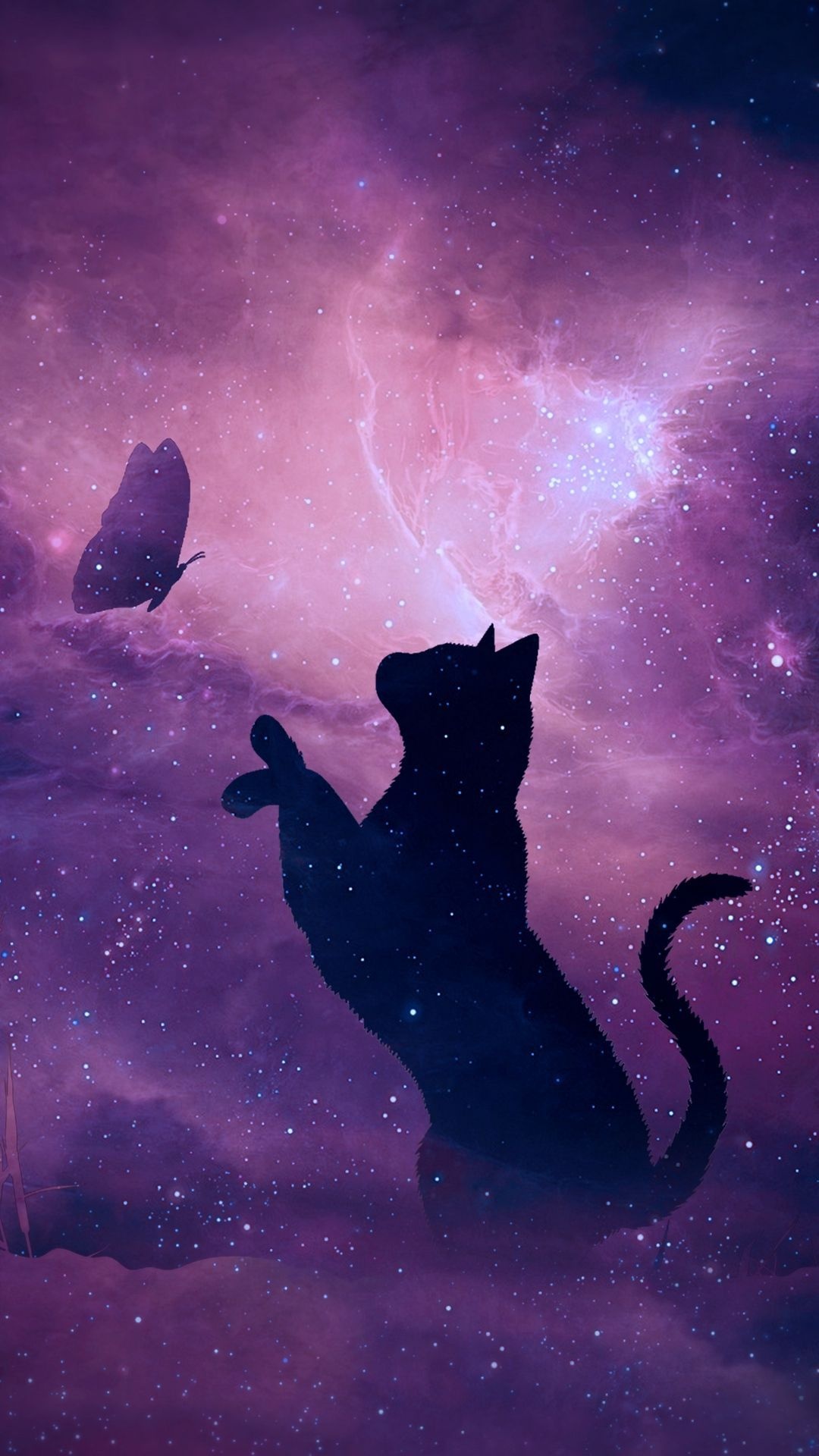 Galaxy Cat, Celestial beauty, Cosmic vibes, Endless wonder, 1080x1920 Full HD Phone