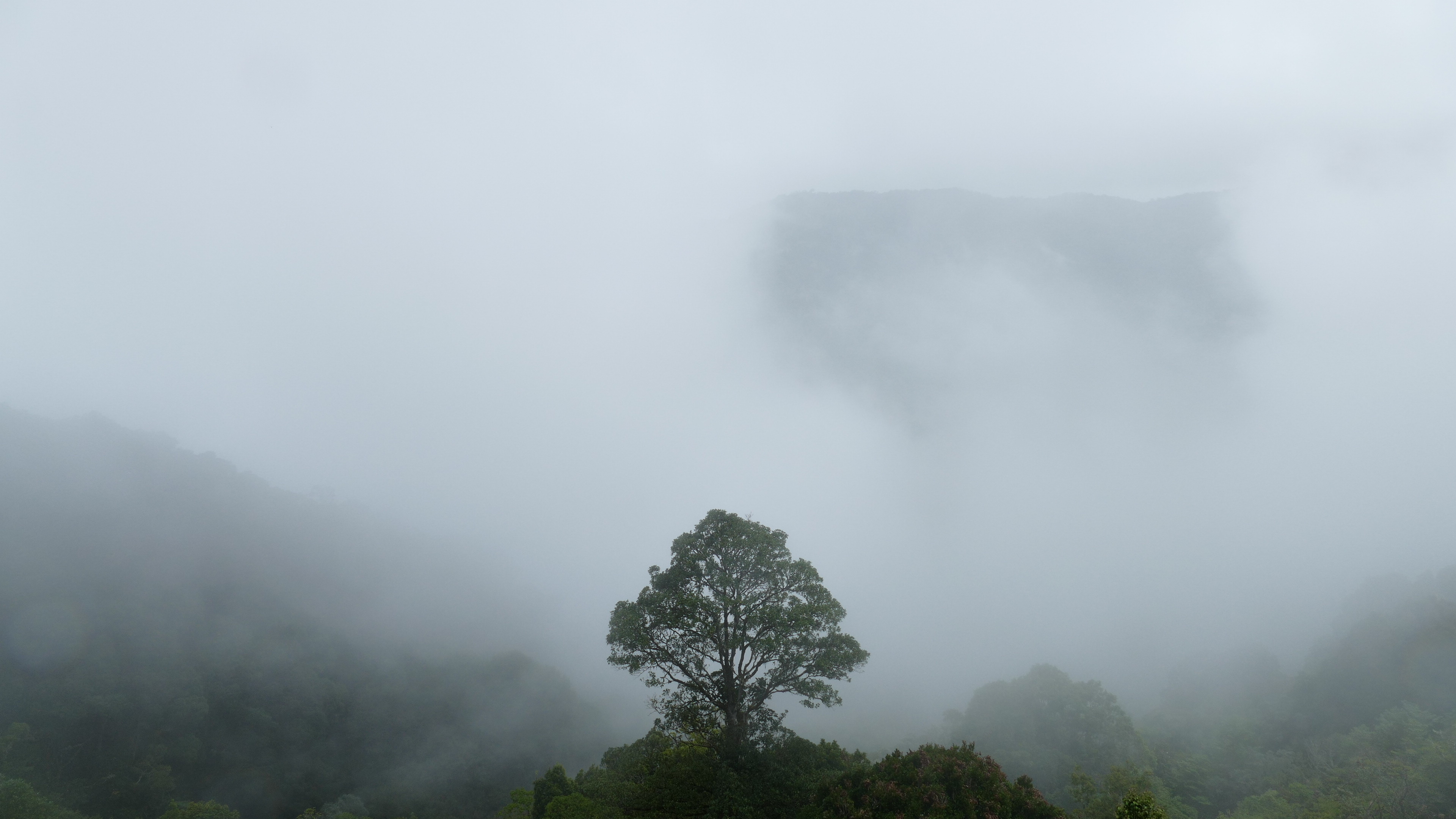Costa Rica Jungle, National park wallpaper, Breathtaking biodiversity, Dense foliage, 3840x2160 4K Desktop