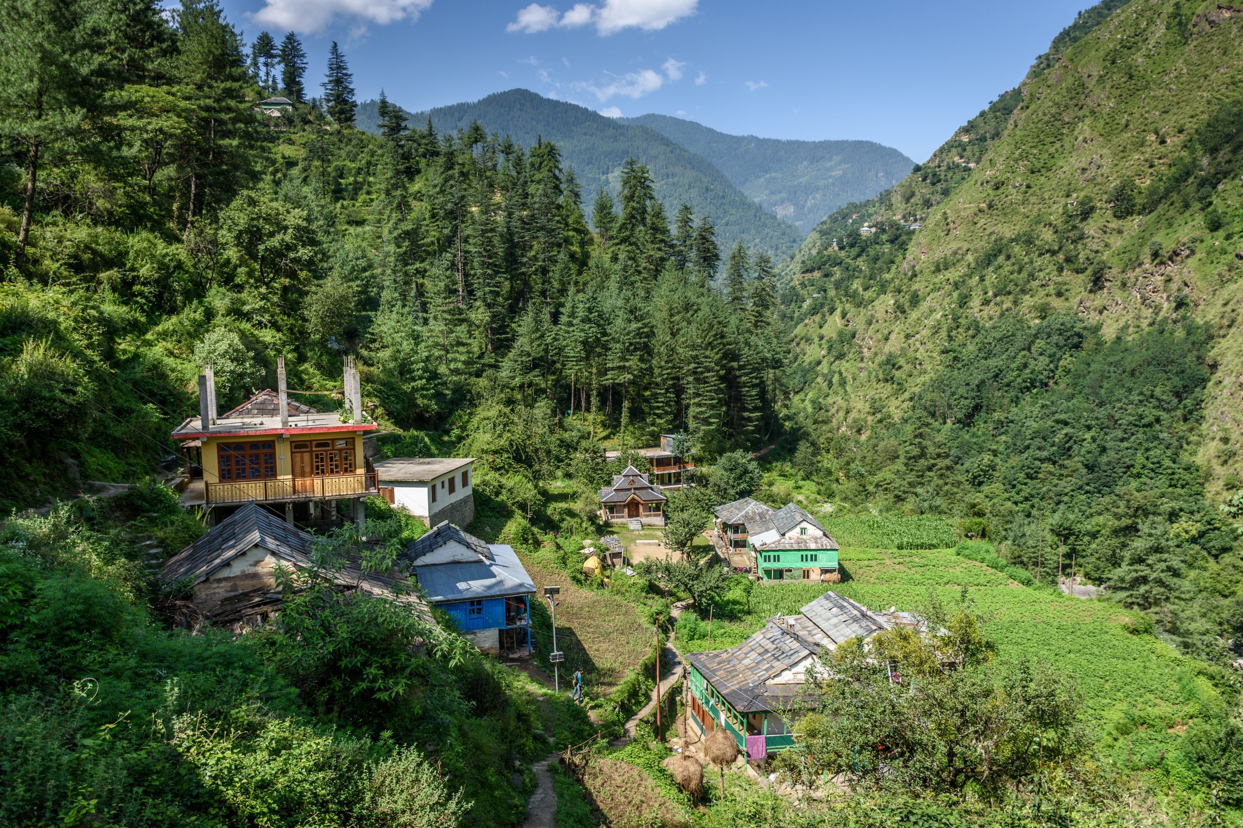 Great Himalayan National Park, Lesser known sanctuaries, Wildlife, India, 2560x1710 HD Desktop
