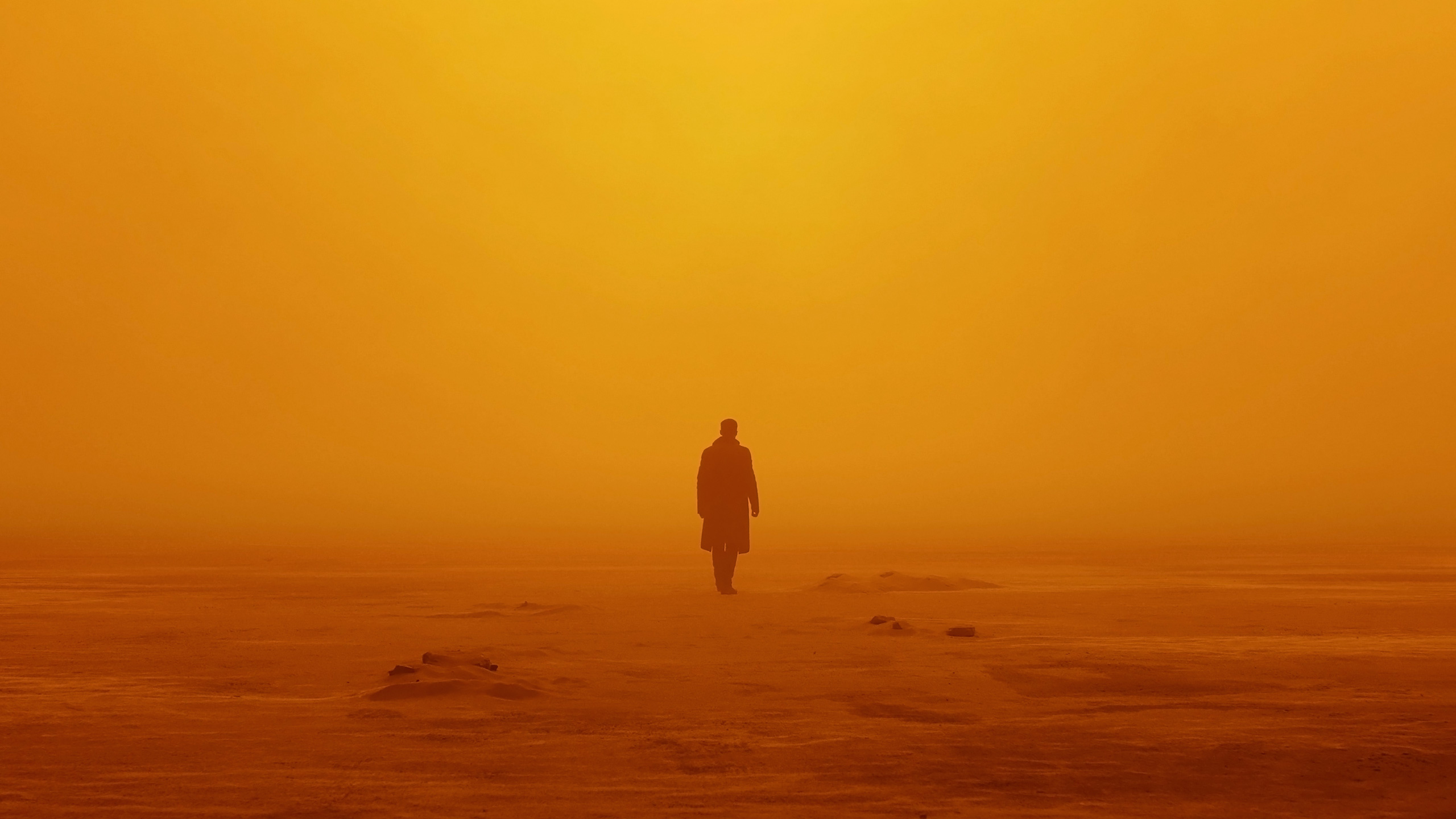 Blade Runner 2049, HD movie, 4K wallpapers, Futuristic setting, 2560x1440 HD Desktop