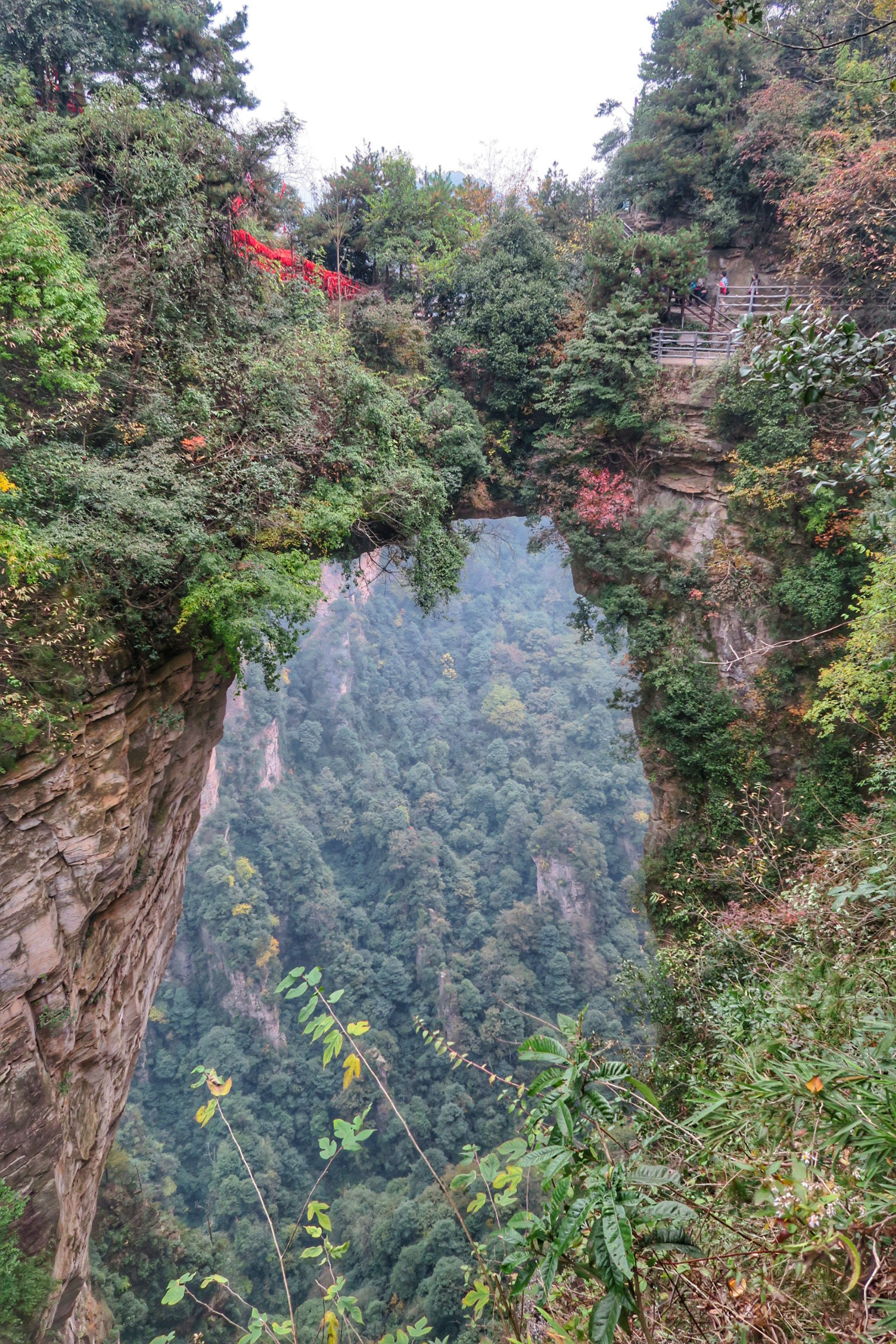 Wulingyuan National Park, Explore Avatar mountains, Natural beauty at its finest, 1540x2310 HD Phone