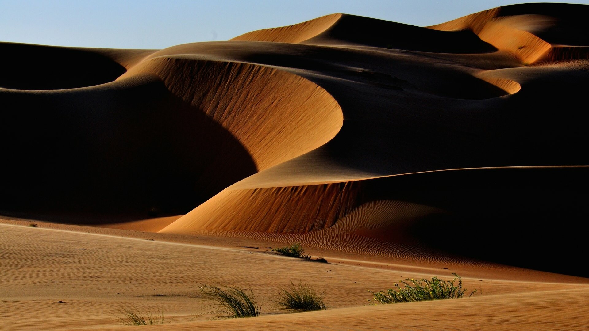 Desert: Areas that receive very little precipitation. 1920x1080 Full HD Background.