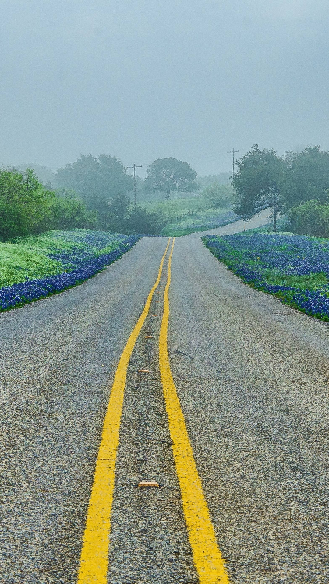 Texas Hill Country, Road trees fog, Landscape background, 1080x1920 Full HD Phone