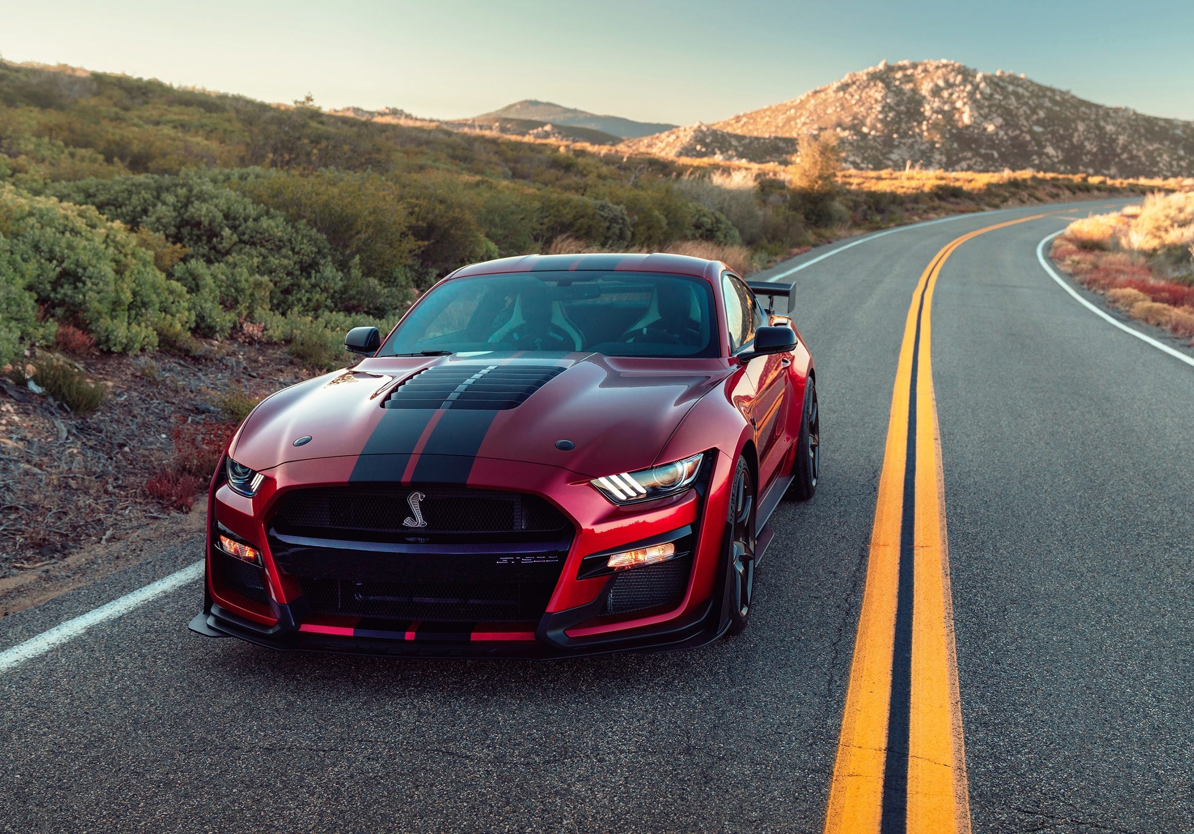 GT500, Mustang test drive, Most powerful Mustang, Automobile review, 2400x1680 HD Desktop