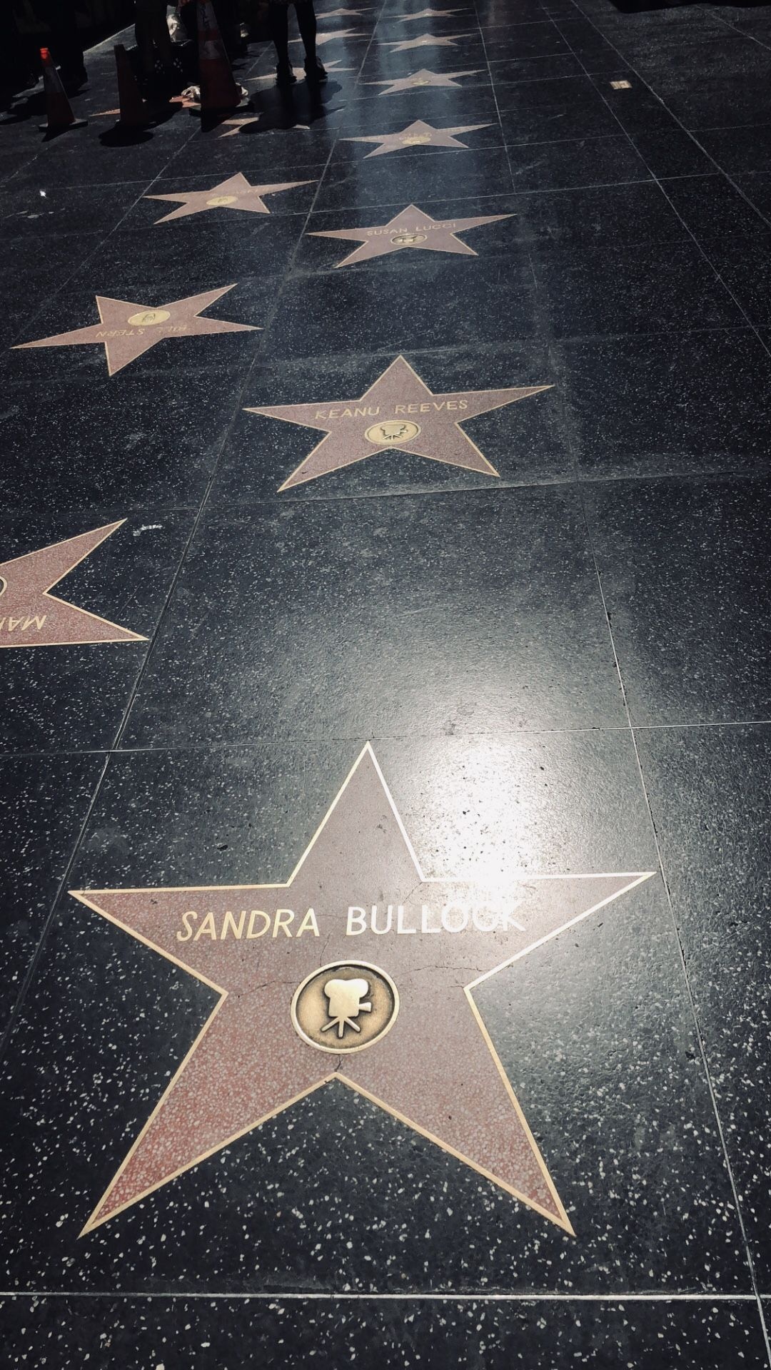 Walk of fame rose, Hollywood recognition, Glittering honor, Celebrity legacy, 1080x1920 Full HD Phone