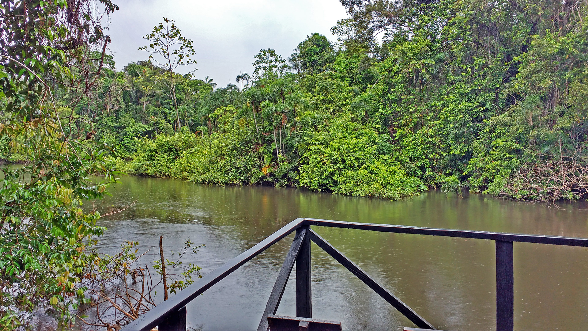 Cuyabeno National Park, Rainforest journey, Ecotourism destination, Ecuadorian reserve, 1920x1080 Full HD Desktop