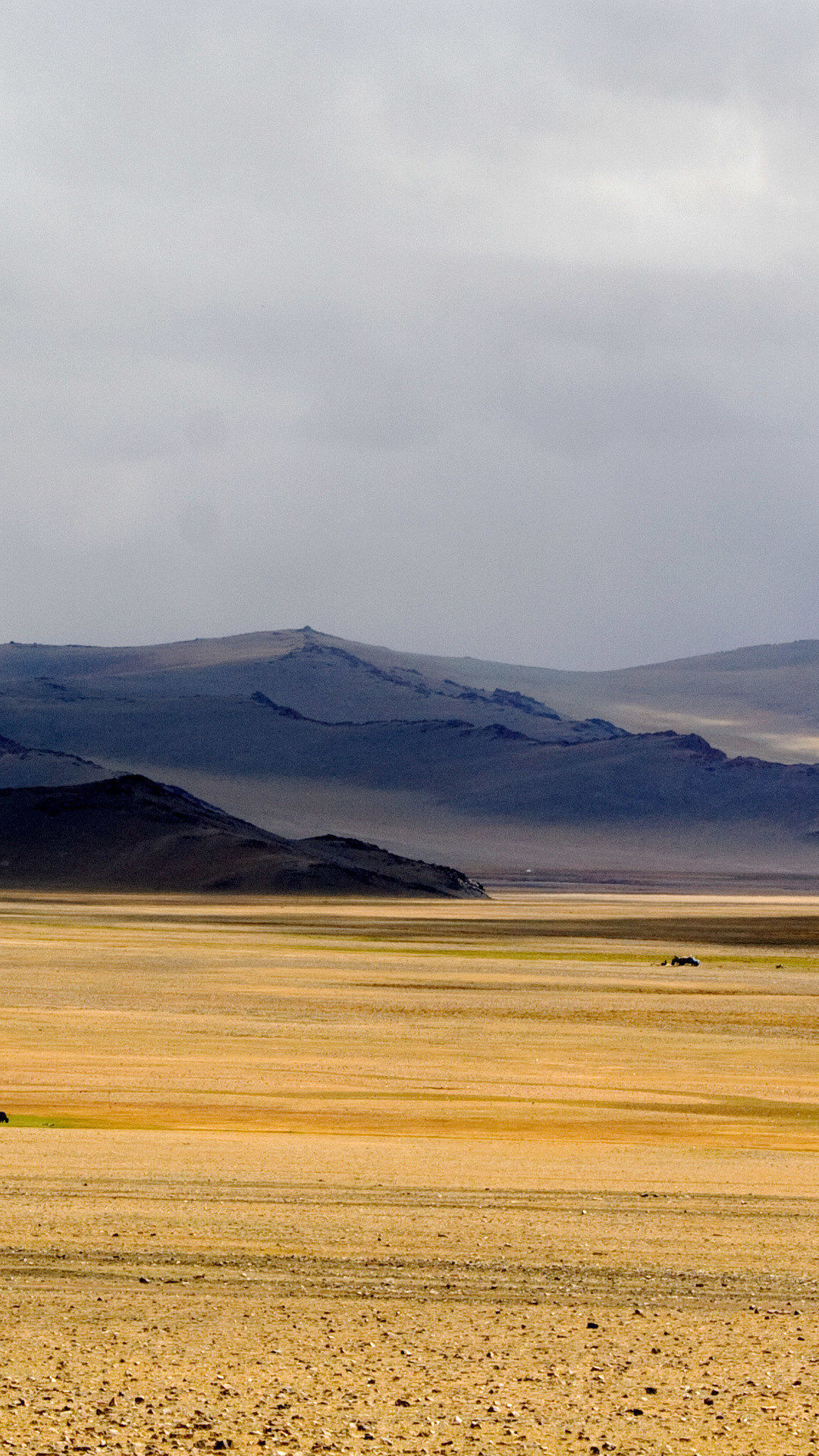 Gobi Desert, Mongolia's charm, Wallpaper collection, Stunning visuals, 1080x1920 Full HD Handy