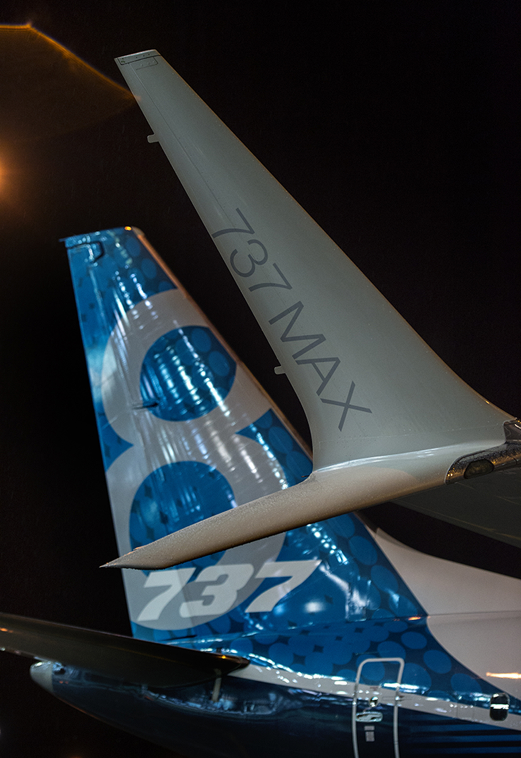 Boeing 737 MAX, Aircraft unveiling, Bangalore Aviation, 1760x2550 HD Phone