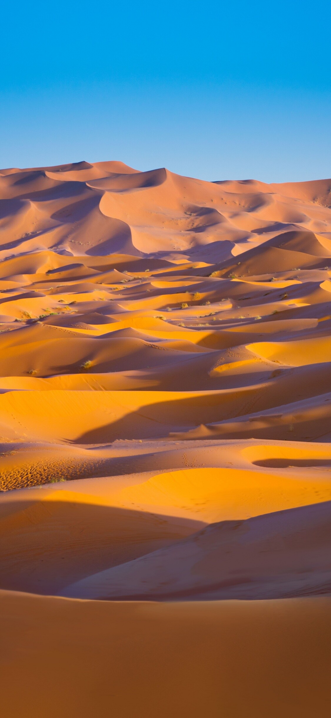Desert: Sahara, Morocco, Sand Dunes, Erg. 1130x2440 HD Background.
