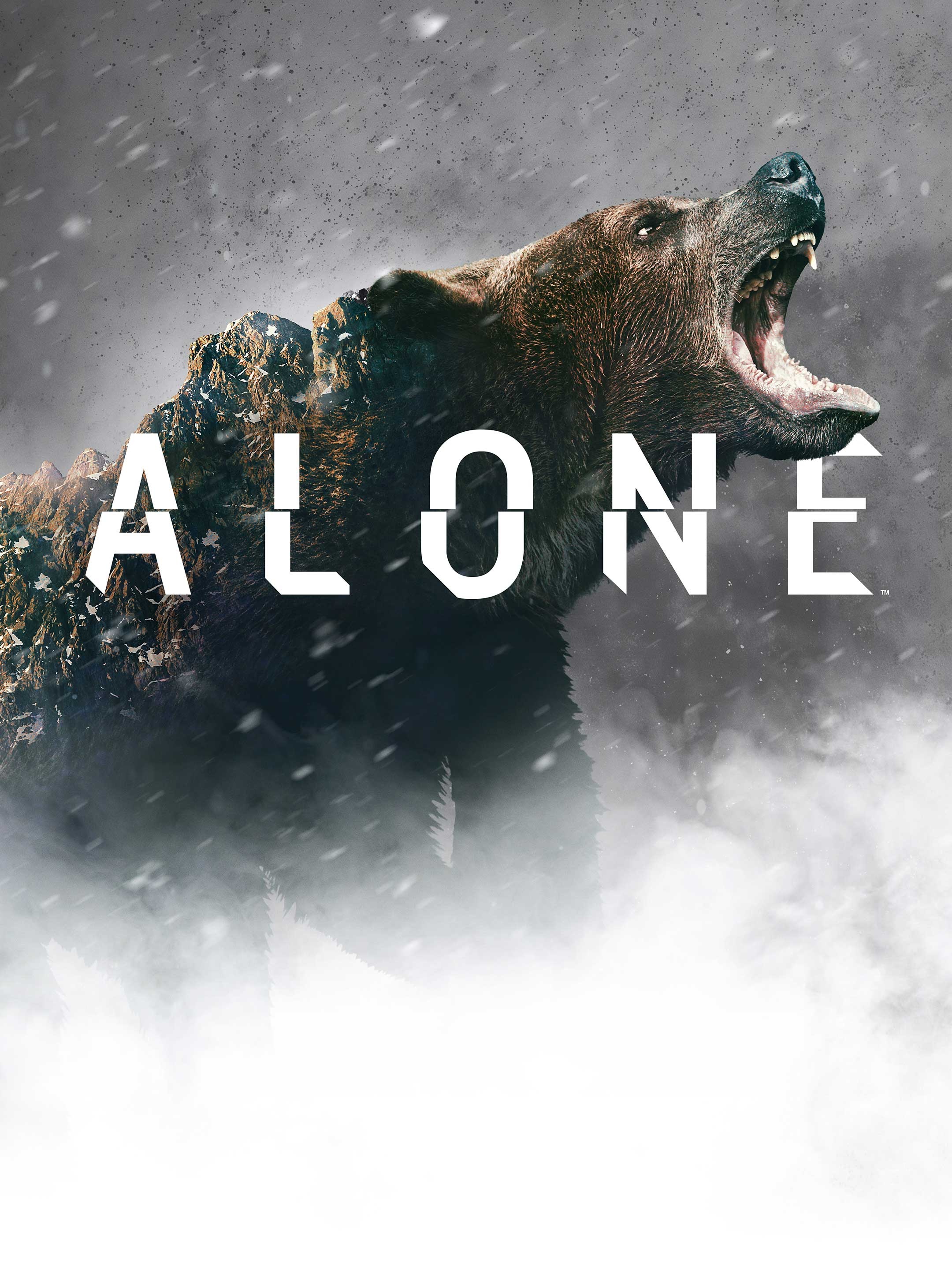 Where to watch Alone, TV guide, History channel, TV shows, 2160x2880 HD Handy