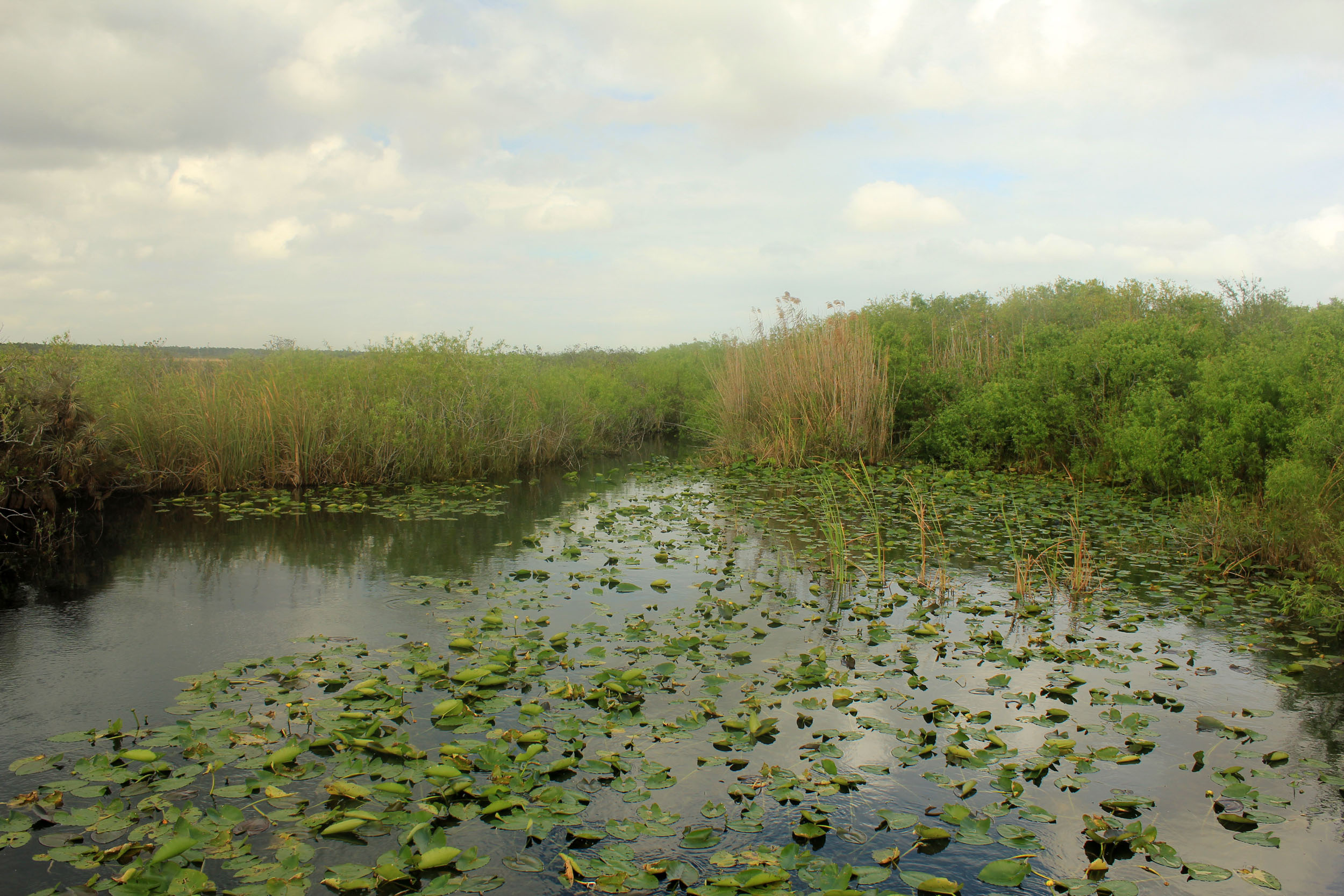Everglades National Park, Informational resource, Wikipedia, Visit now, 2500x1670 HD Desktop
