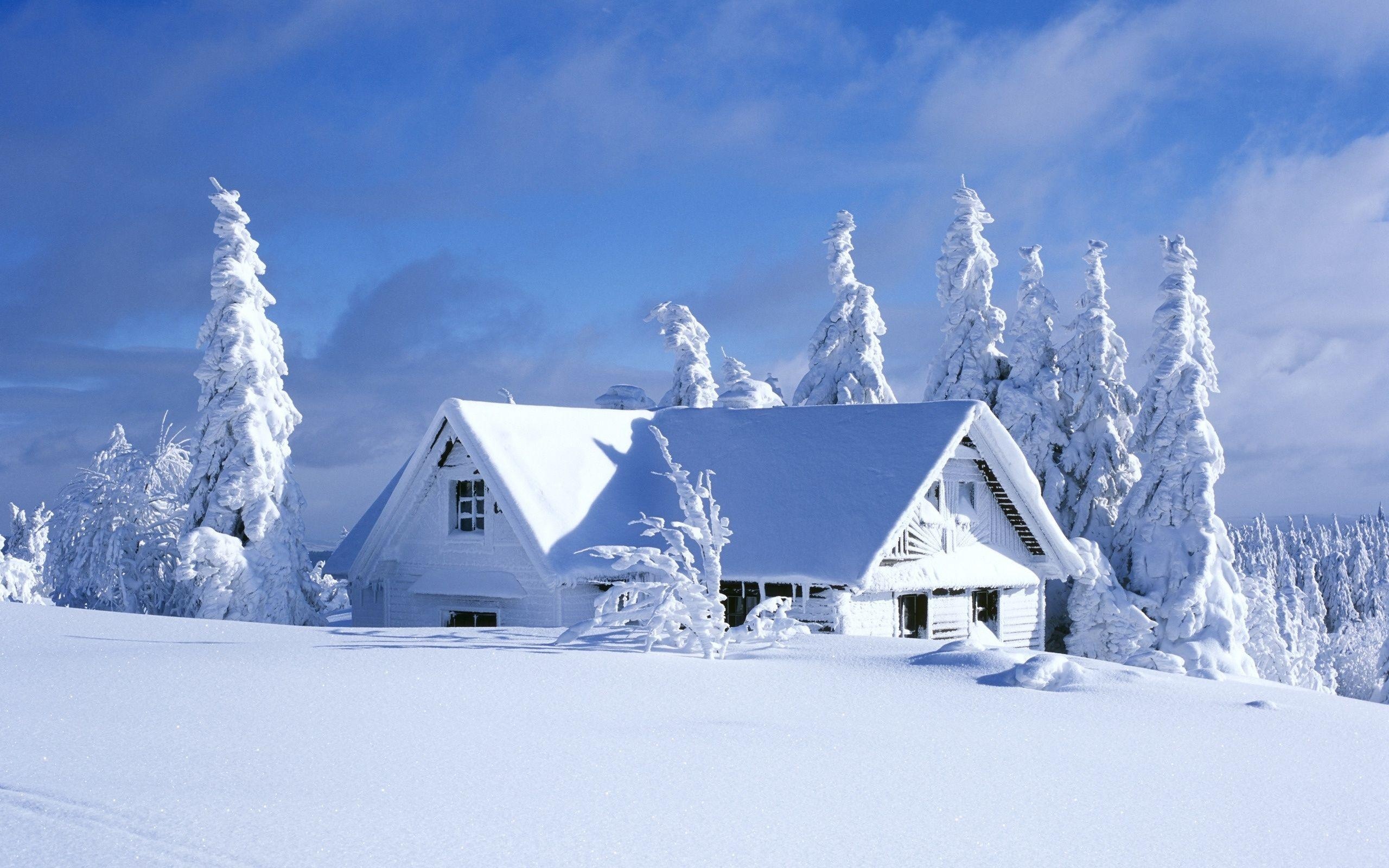 Winter House Snow Wallpapers 2560x1600