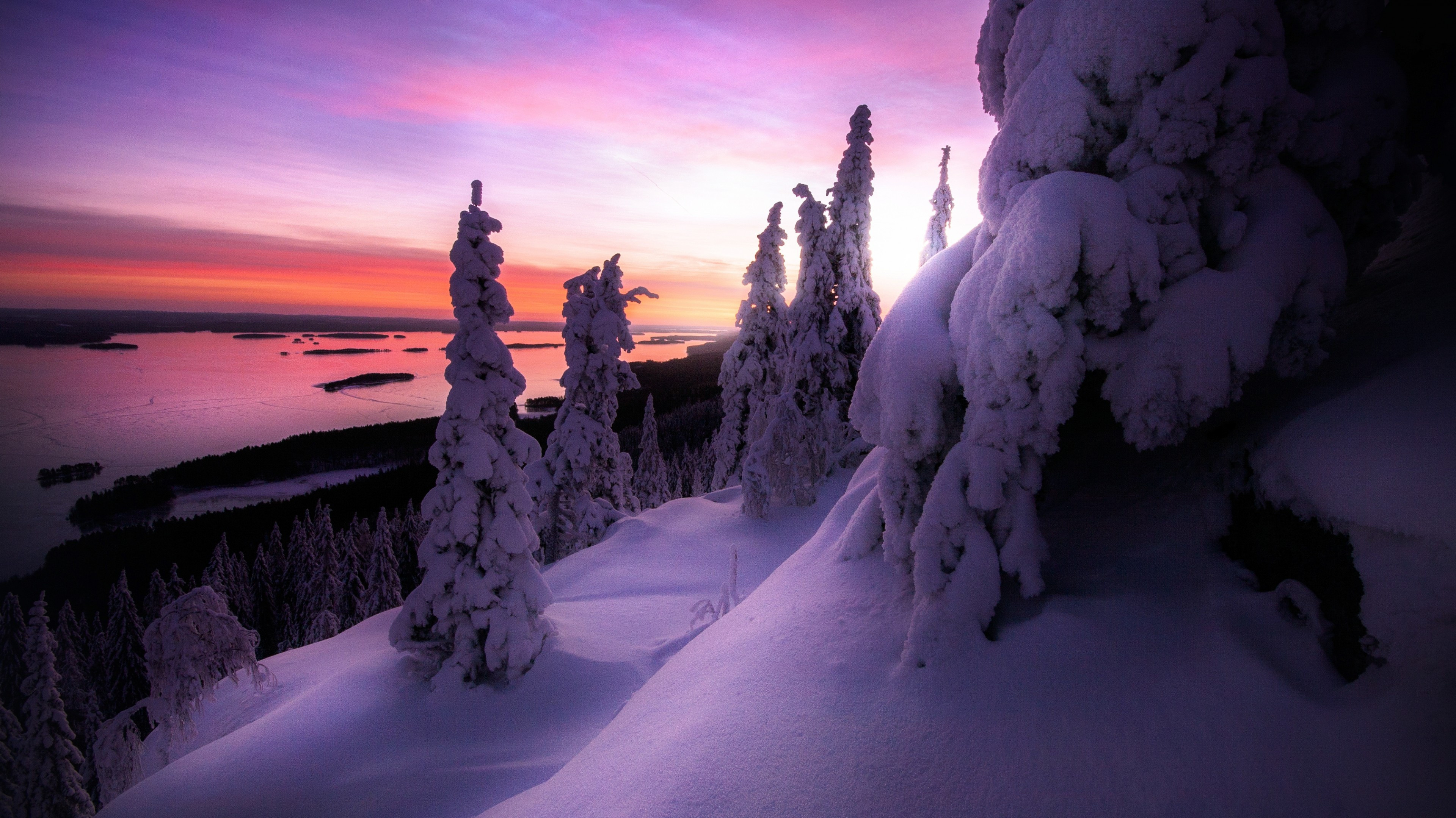 Finland: Koli National Park, Snow, Trees, Countryside, Scenery. 3840x2160 4K Wallpaper.