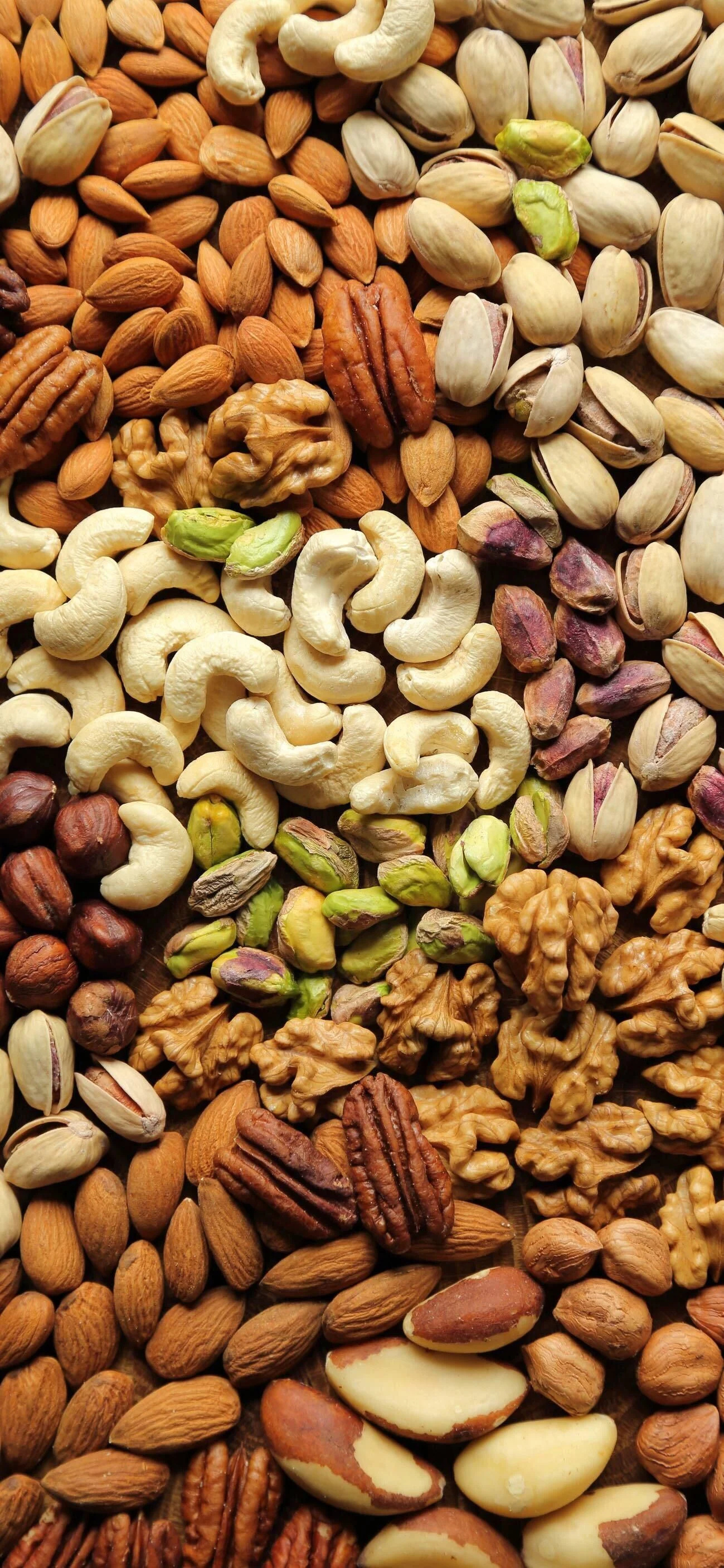 Nuts: Dry fruits, Edible seed kernels encased in a hard shell. 1300x2820 HD Wallpaper.