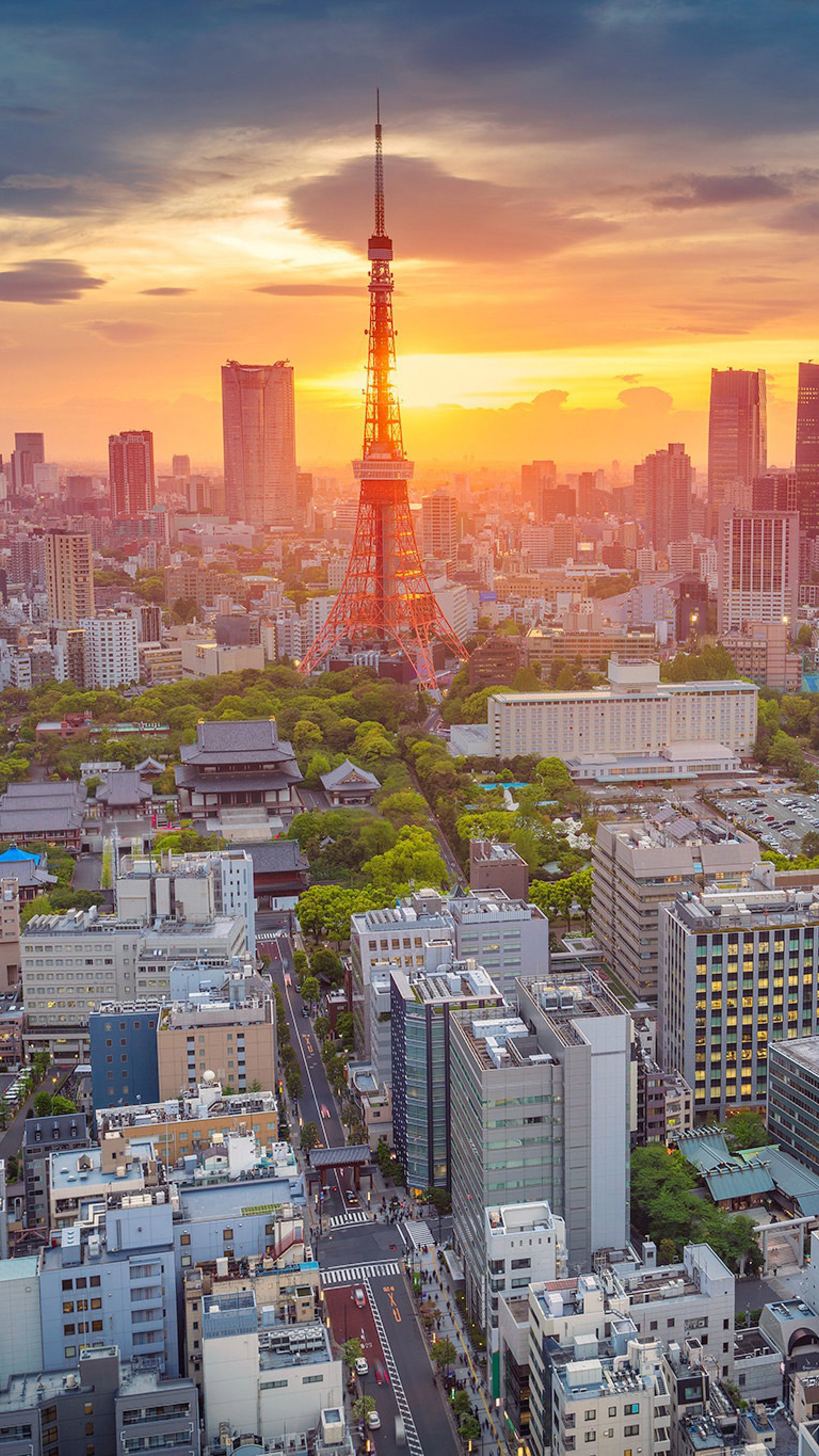 Tokyo Skyline, Morning in Tokyo, Serene views, Calm atmosphere, 2160x3840 4K Phone