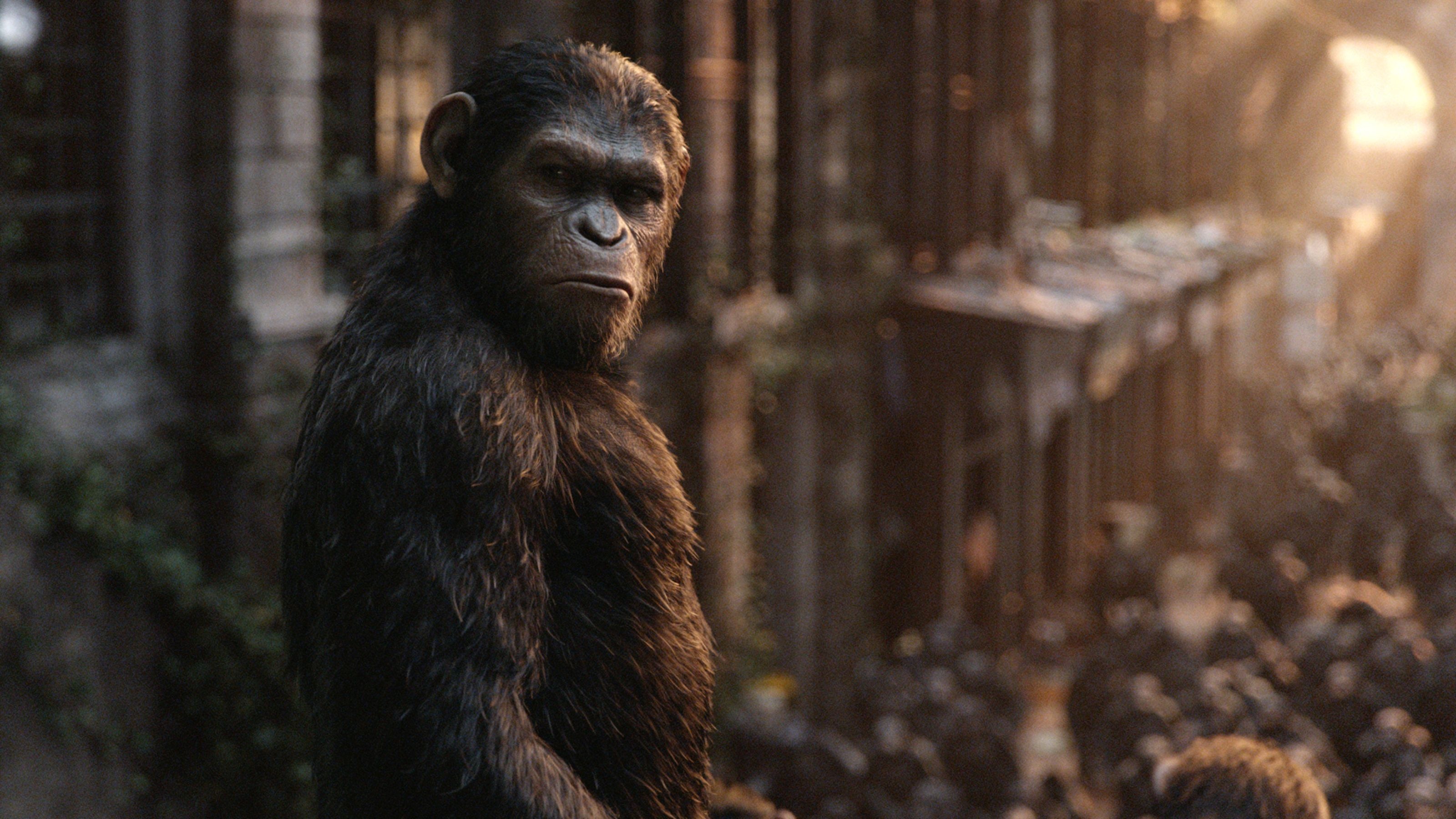 Planet of the Apes, War film, Top free wallpapers, Backgrounds, 3200x1800 HD Desktop