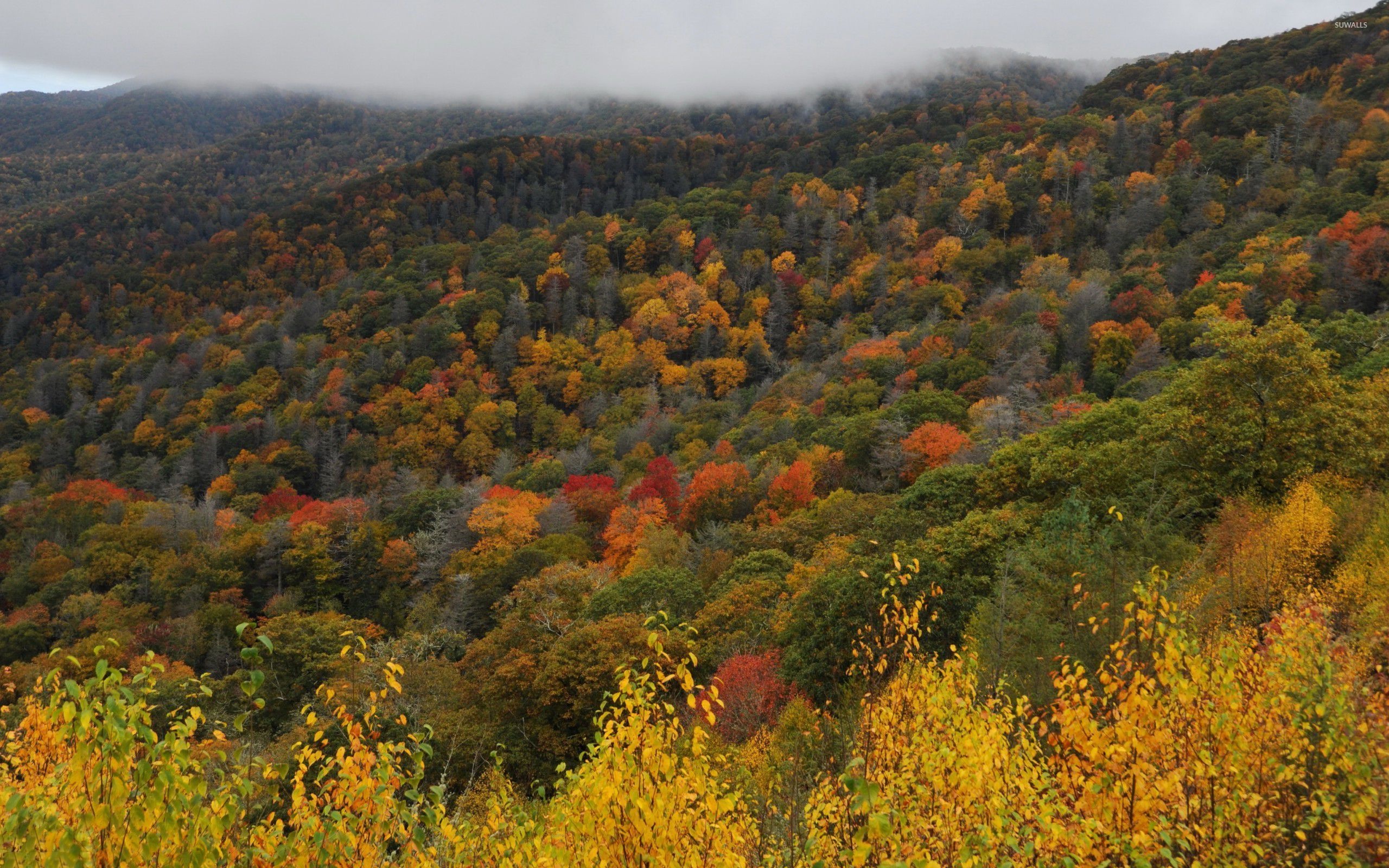 Great Smoky Mountains, Wallpapers, Majestic landscapes, Breathtaking views, 2560x1600 HD Desktop