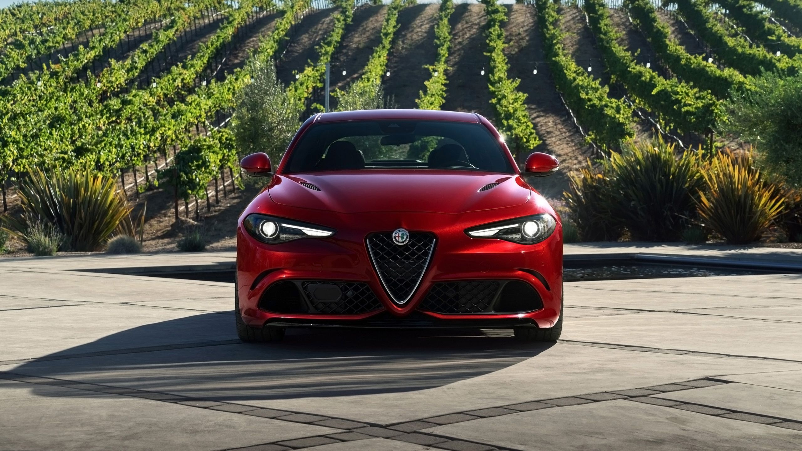 Alfa Romeo Giulia Coupe, Top free wallpapers, Backgrounds, 2560x1440 HD Desktop