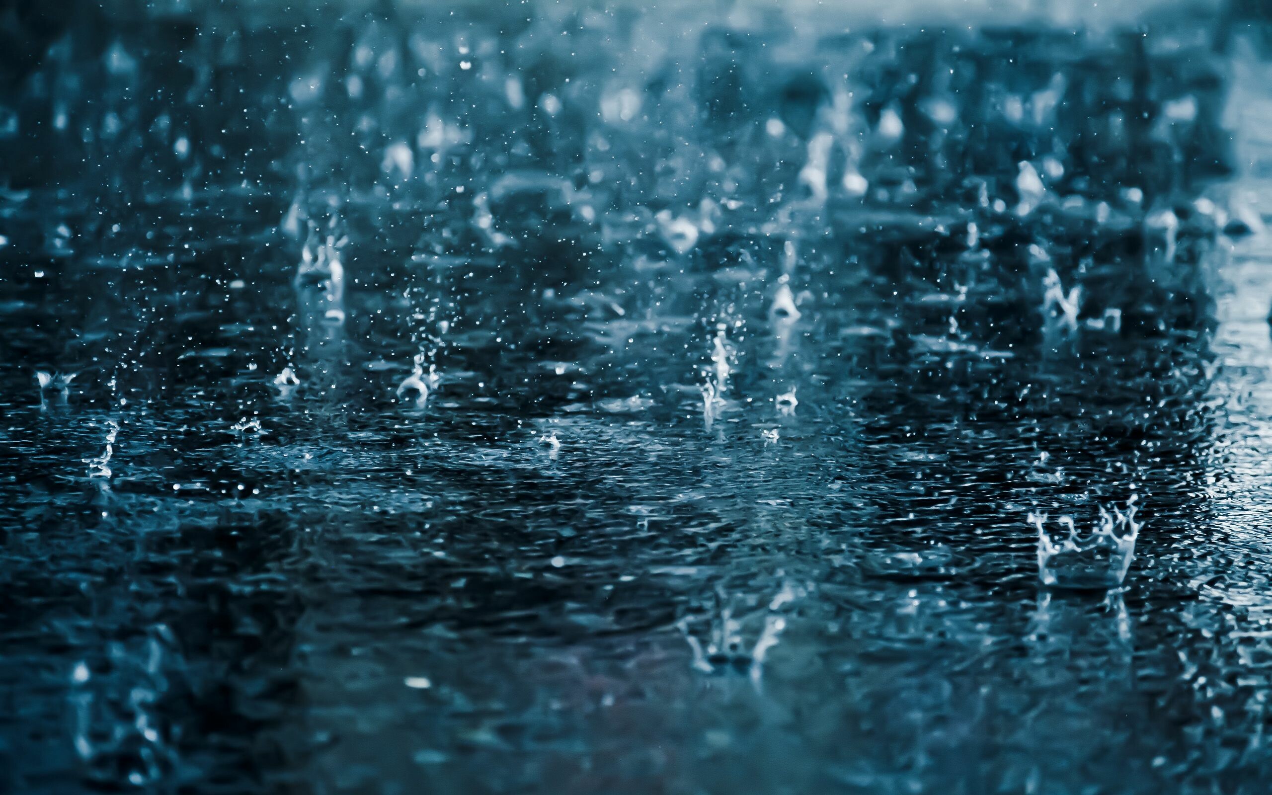 Rain: The result of water vapor condensing and precipitating. 2560x1600 HD Wallpaper.