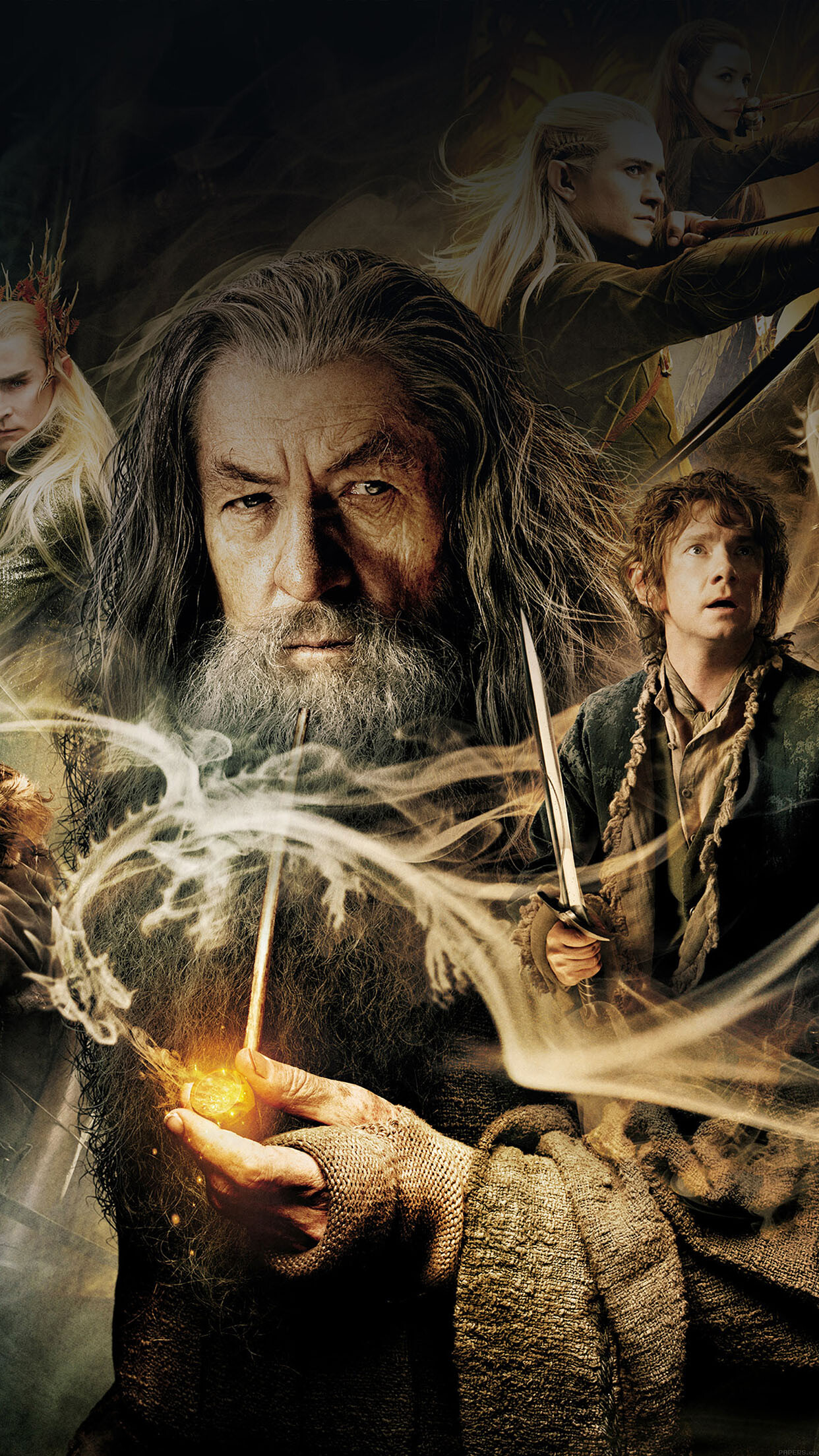The Hobbit: The Desolation of Smaug, A 2013 epic high fantasy adventure film directed by Peter Jackson. 1250x2210 HD Background.