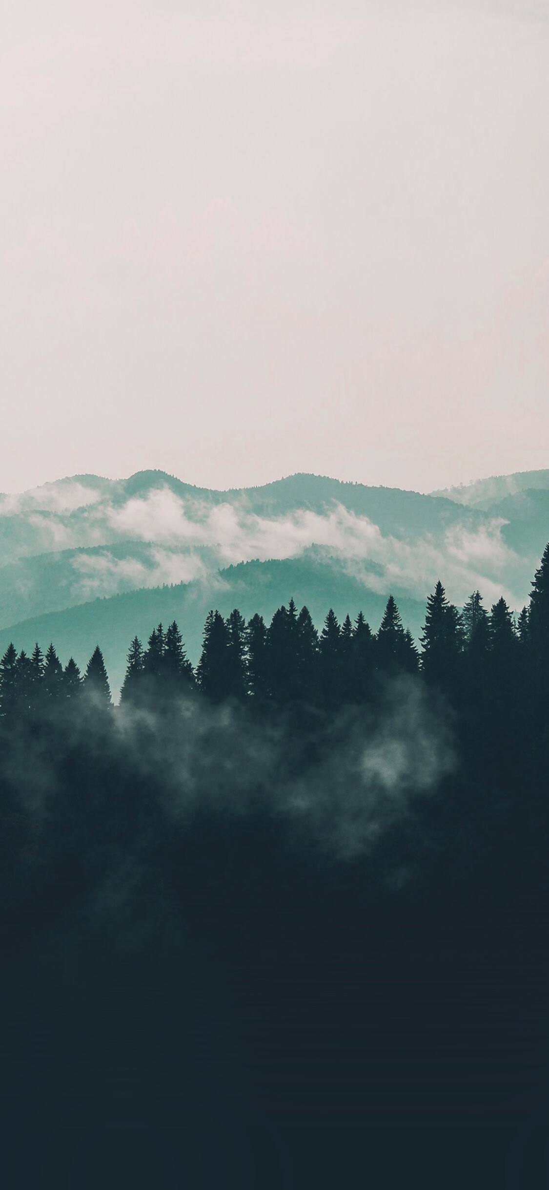 Mountain fog, Nature view, Wood forest, Blue wallpaper, 1130x2440 HD Phone