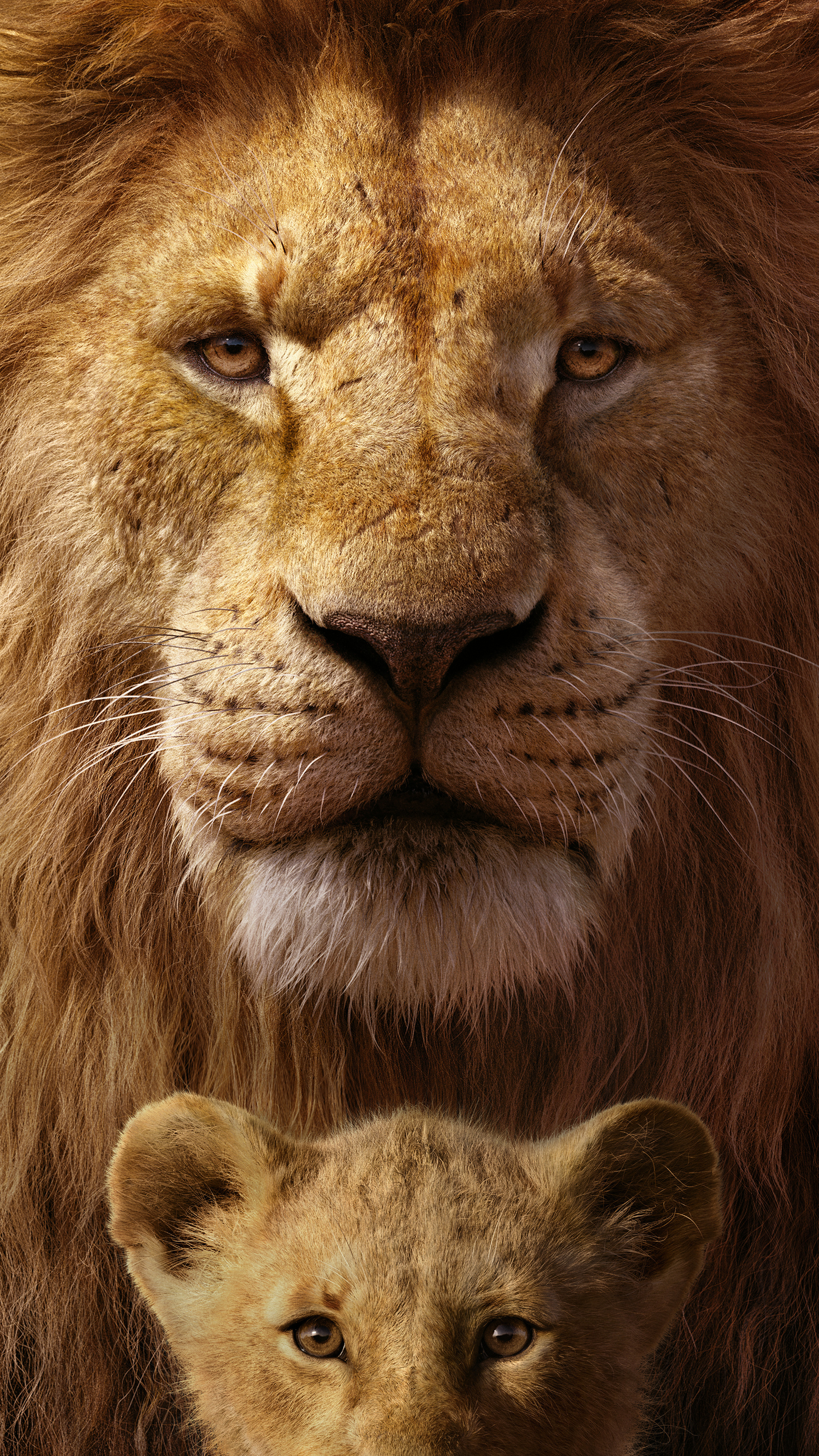 The Lion King, Breathtaking 8K quality, Sony Xperia X, Majestic visuals, 2160x3840 4K Phone